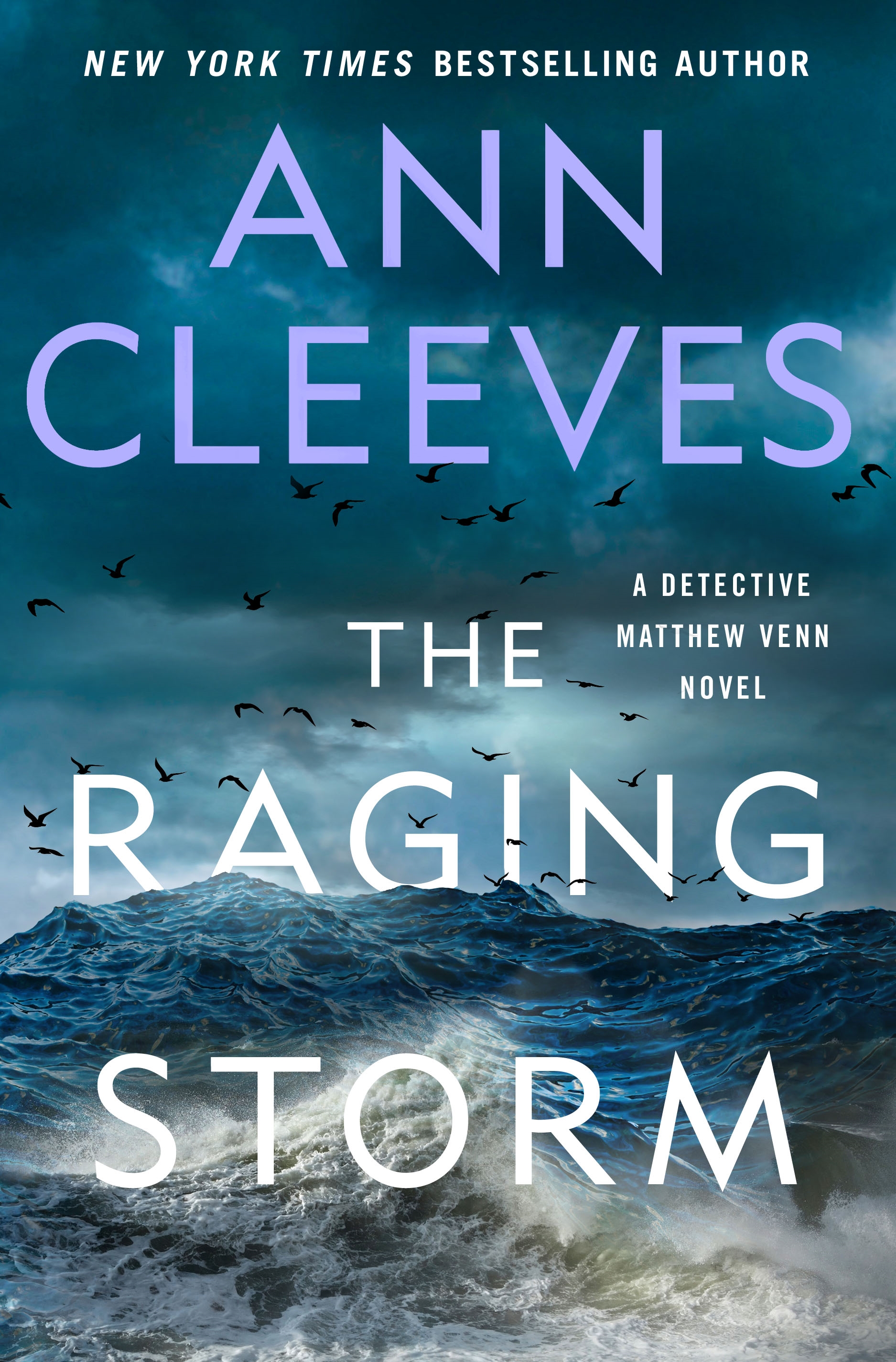 The Raging Storm A Detective Matthew Venn Novel cover image
