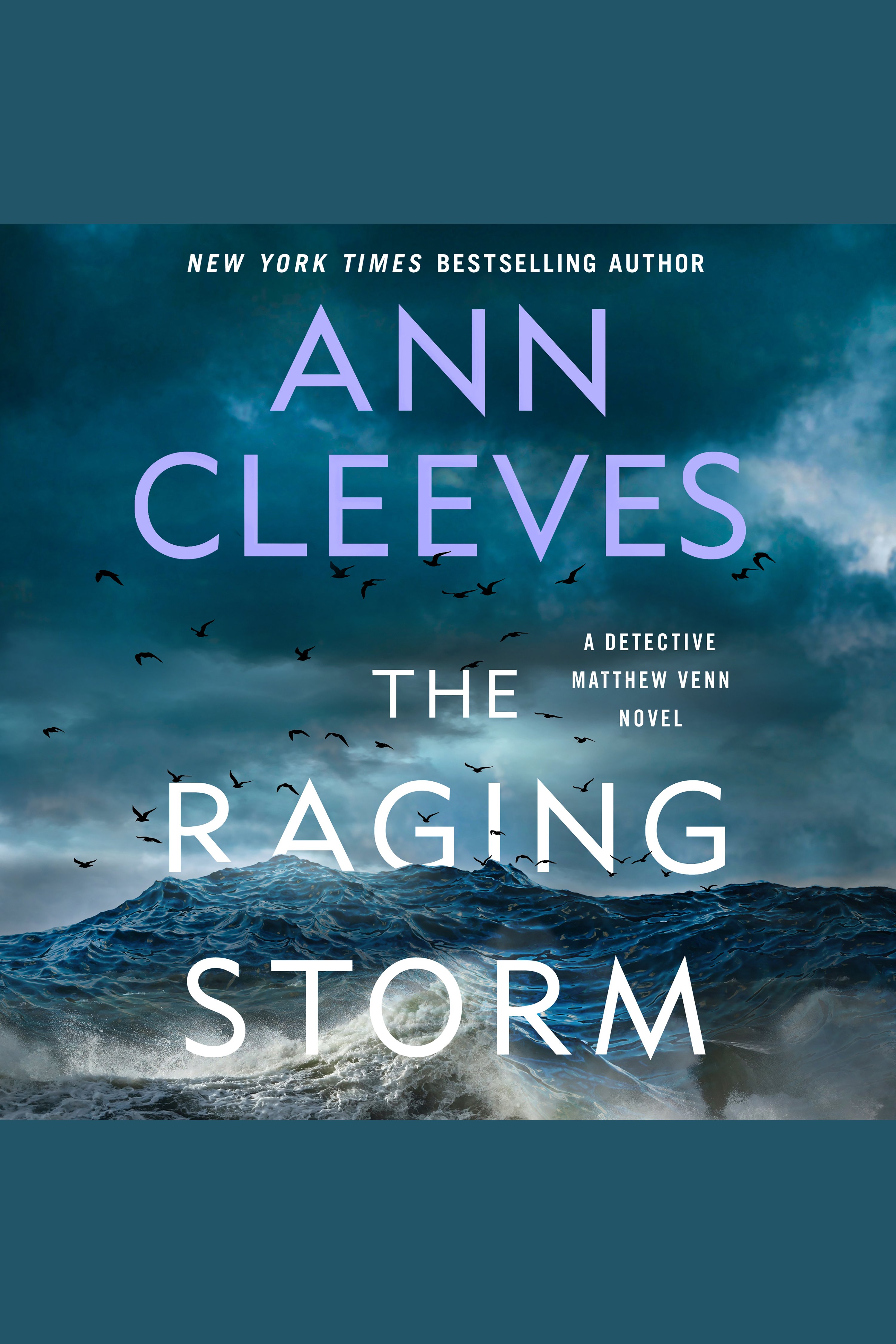 The Raging Storm A Detective Matthew Venn Novel cover image