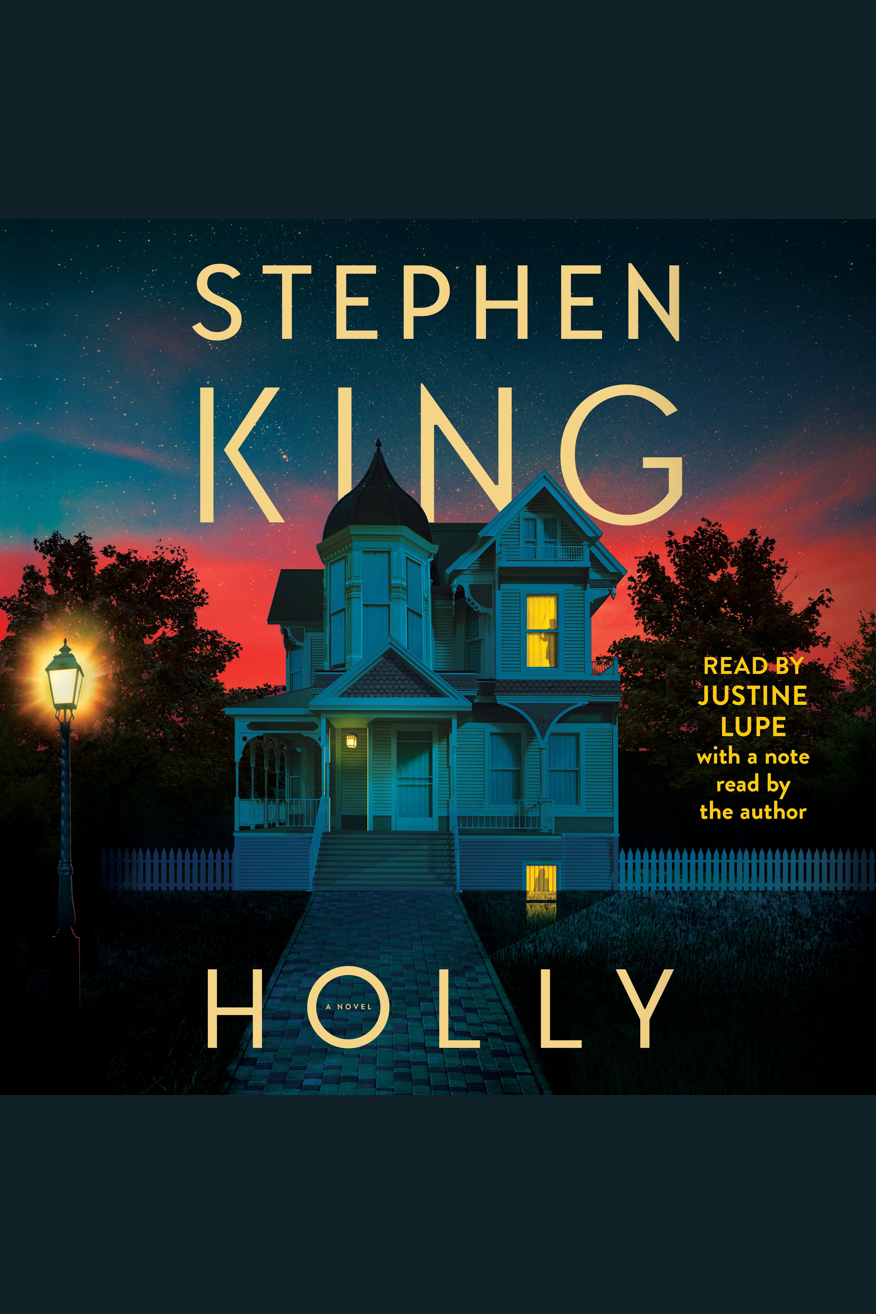 Cover image for Holly [electronic resource] :