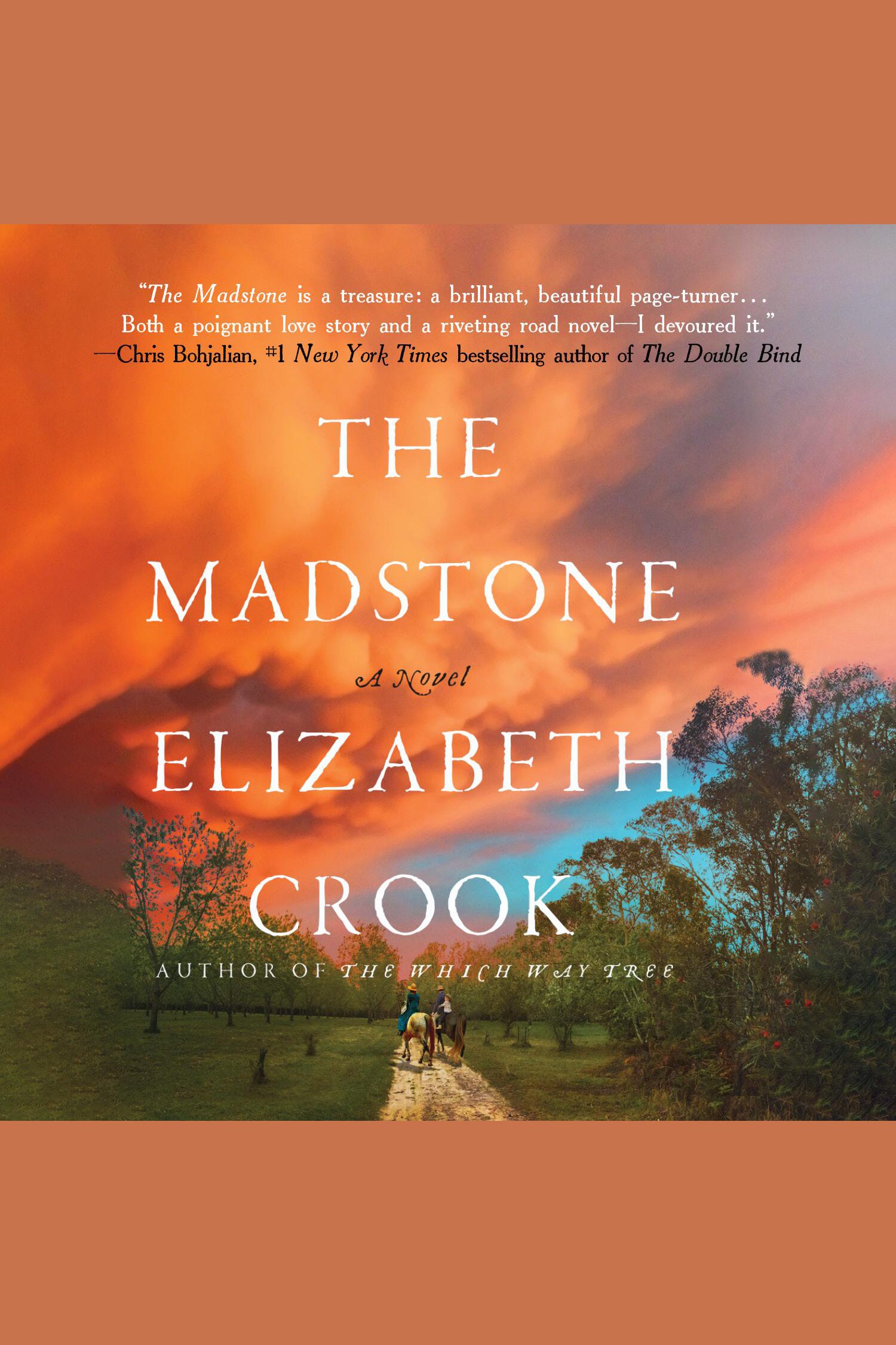 The Madstone cover image