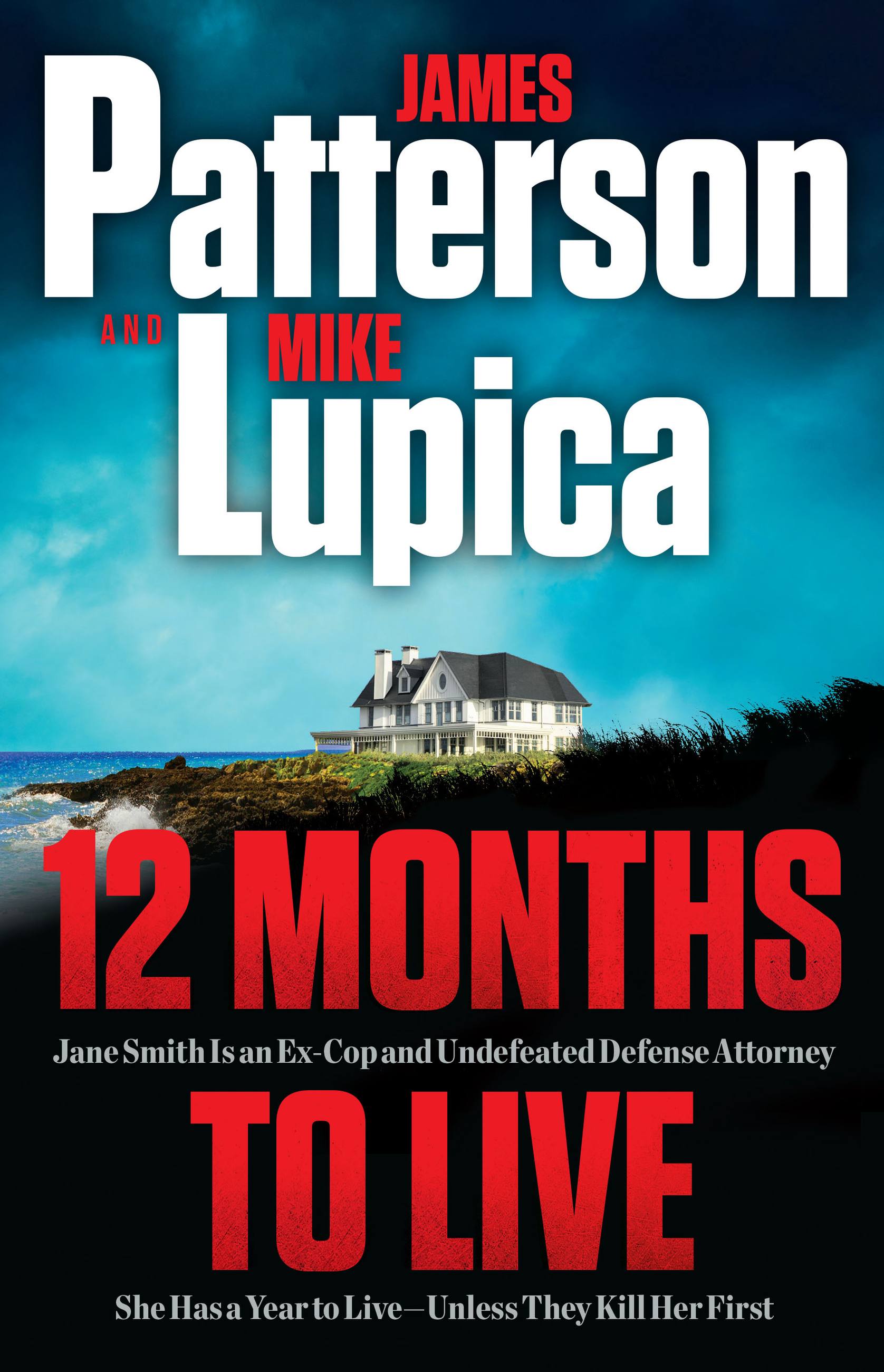 Cover image for 12 Months to Live [electronic resource] : Jane Smith has a year to live, unless they kill her first
