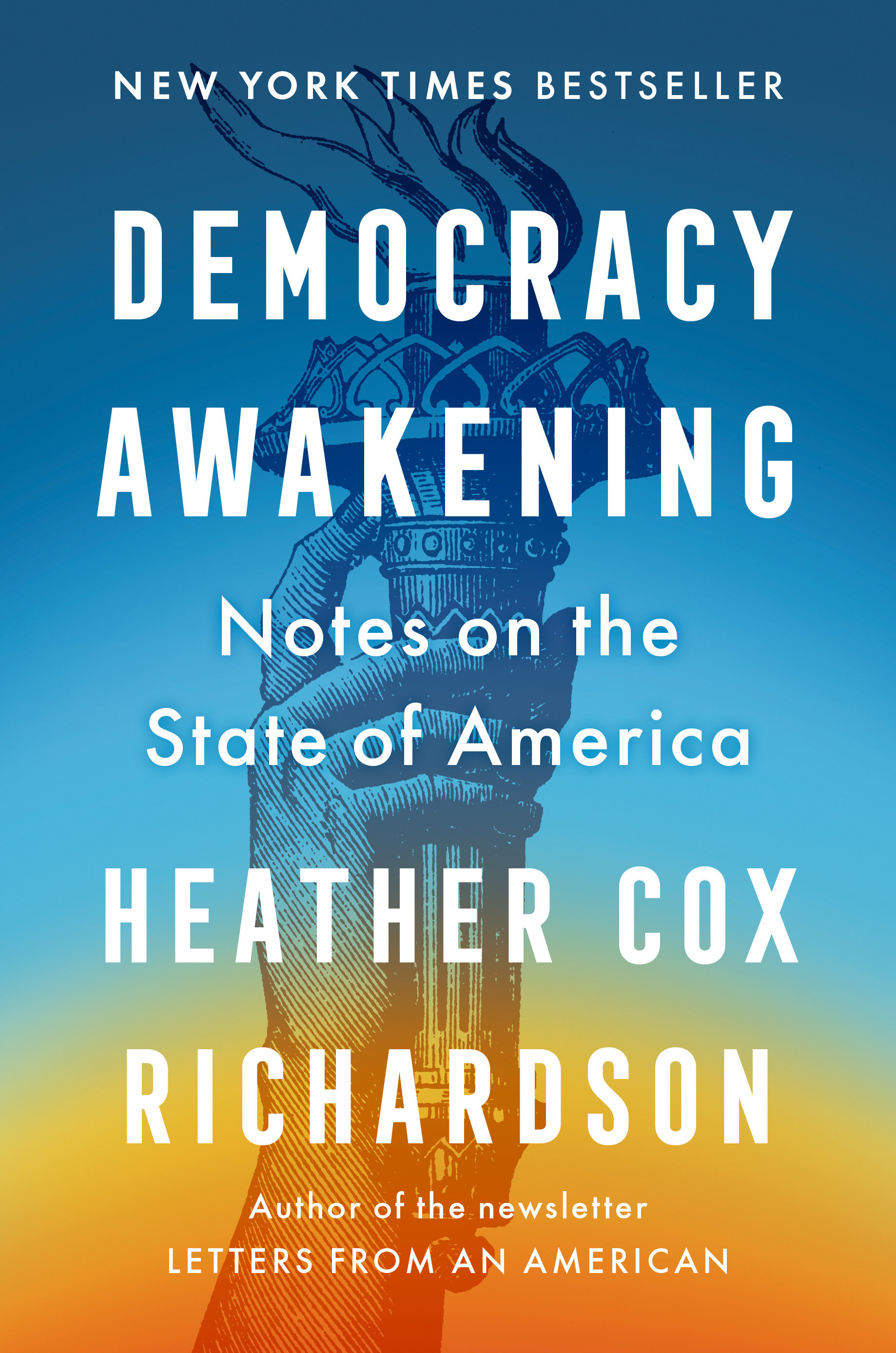Democracy Awakening Notes on the State of America cover image