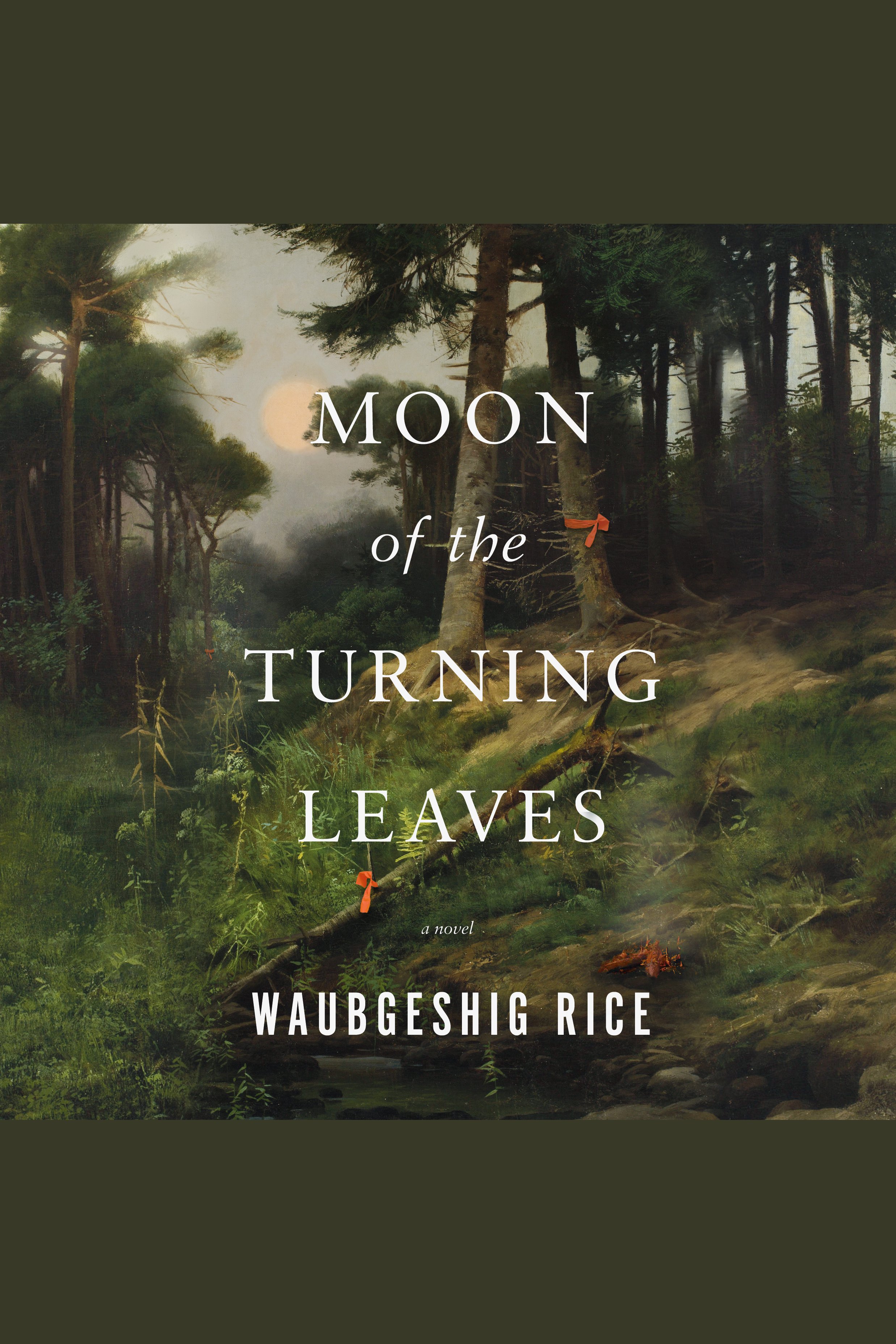 Cover image for Moon of the Turning Leaves [electronic resource] :
