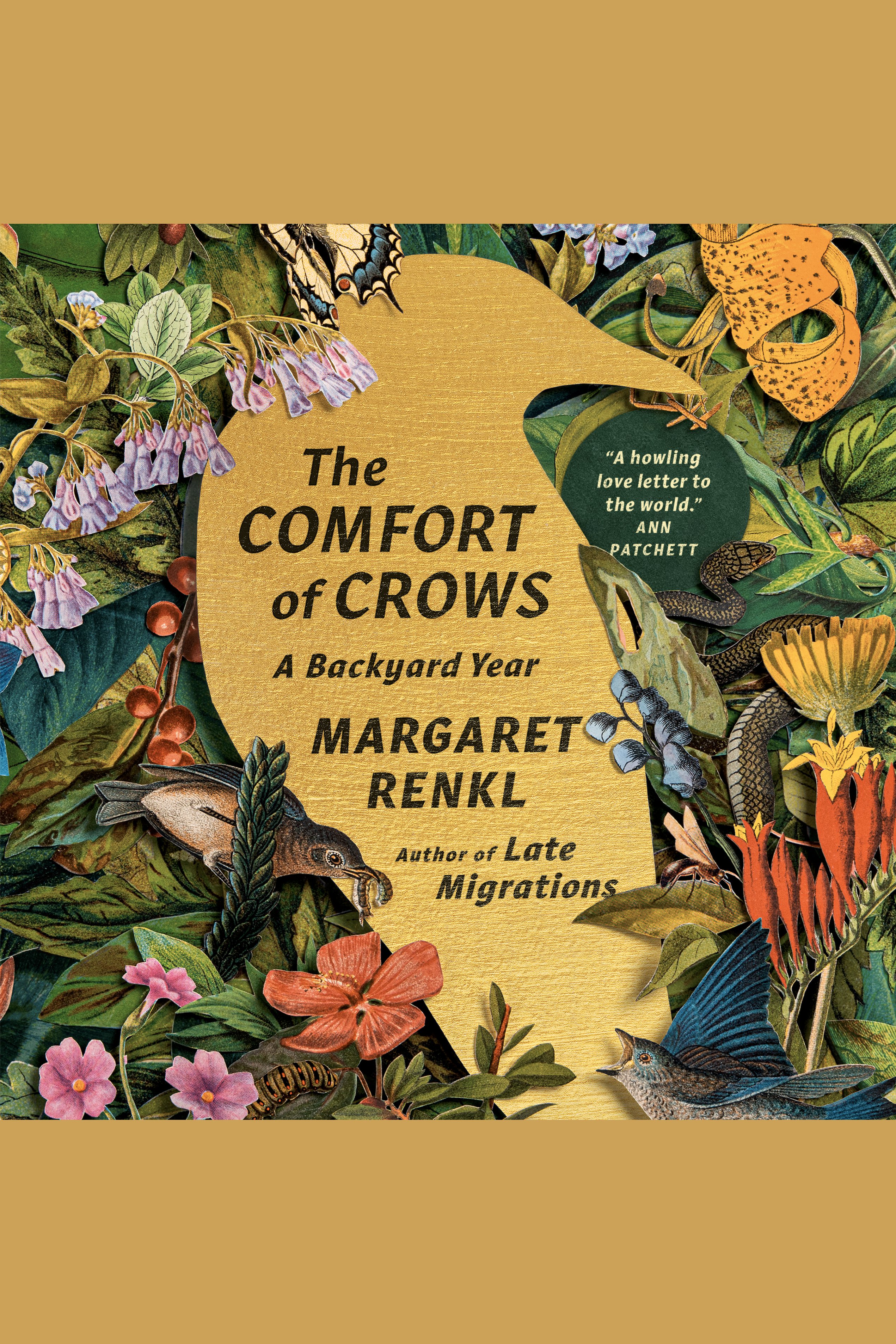 The Comfort of Crows A Backyard Year cover image