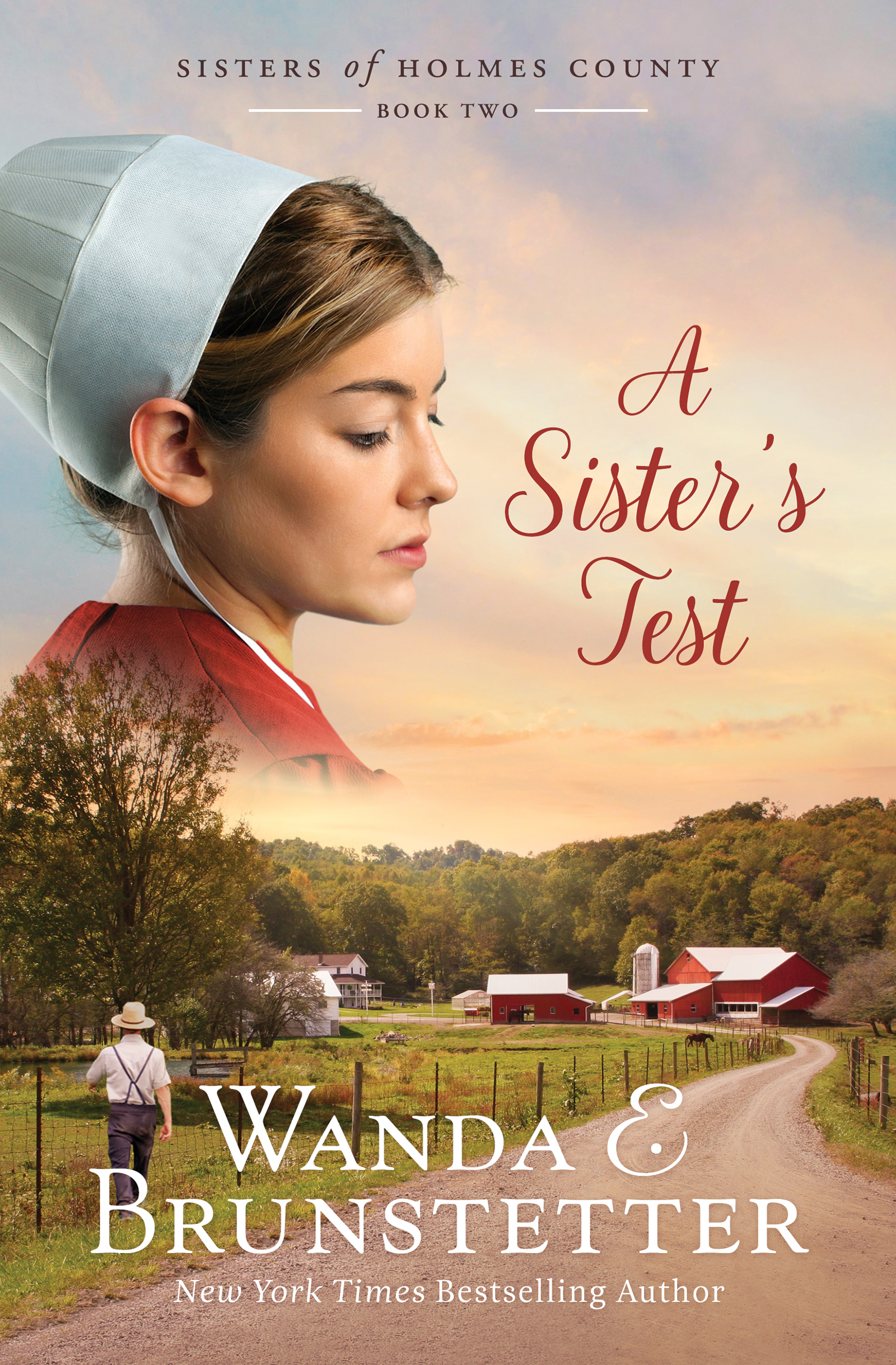 Cover image for A Sister's Test [electronic resource] :