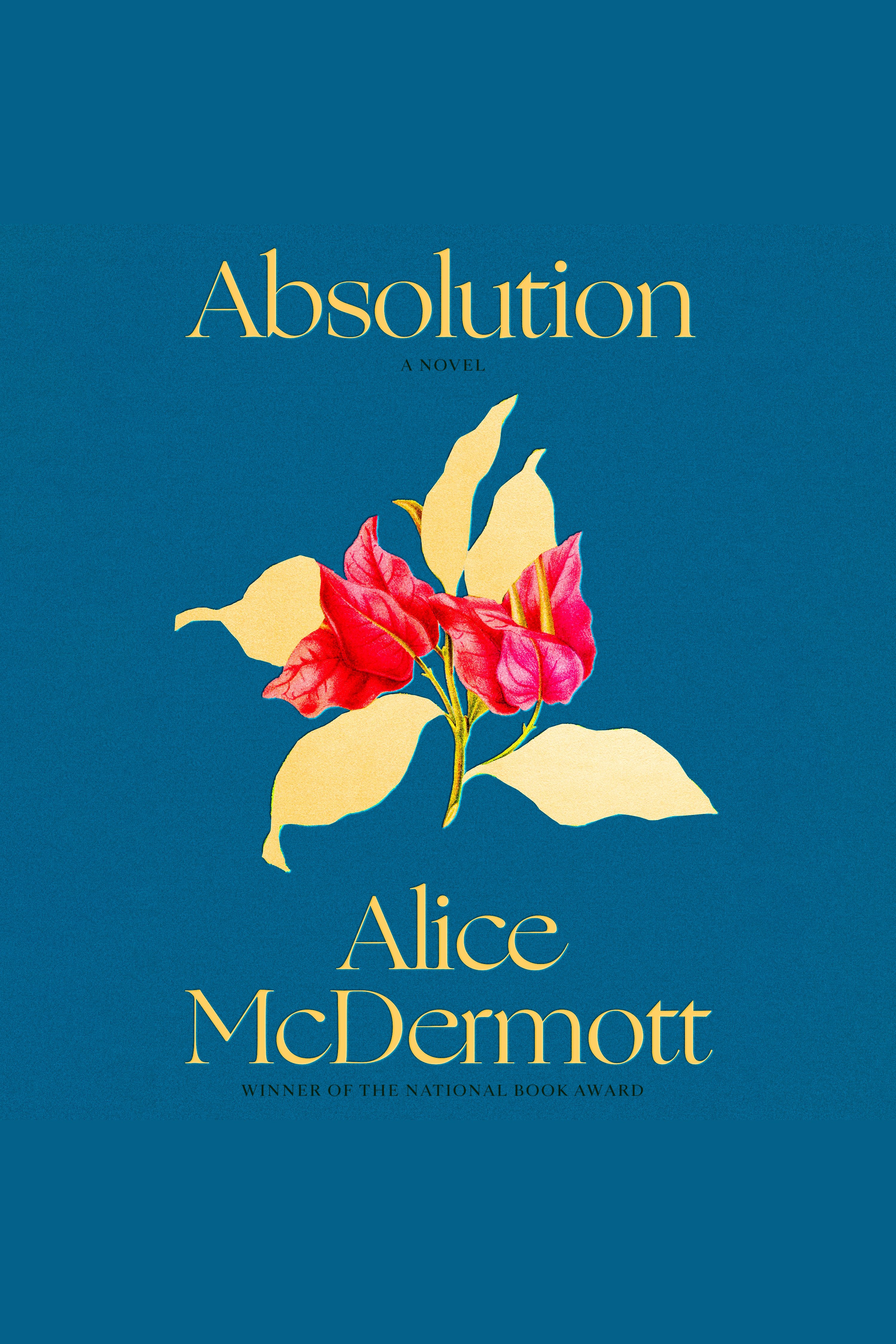 Umschlagbild für Absolution [electronic resource] : A Novel
