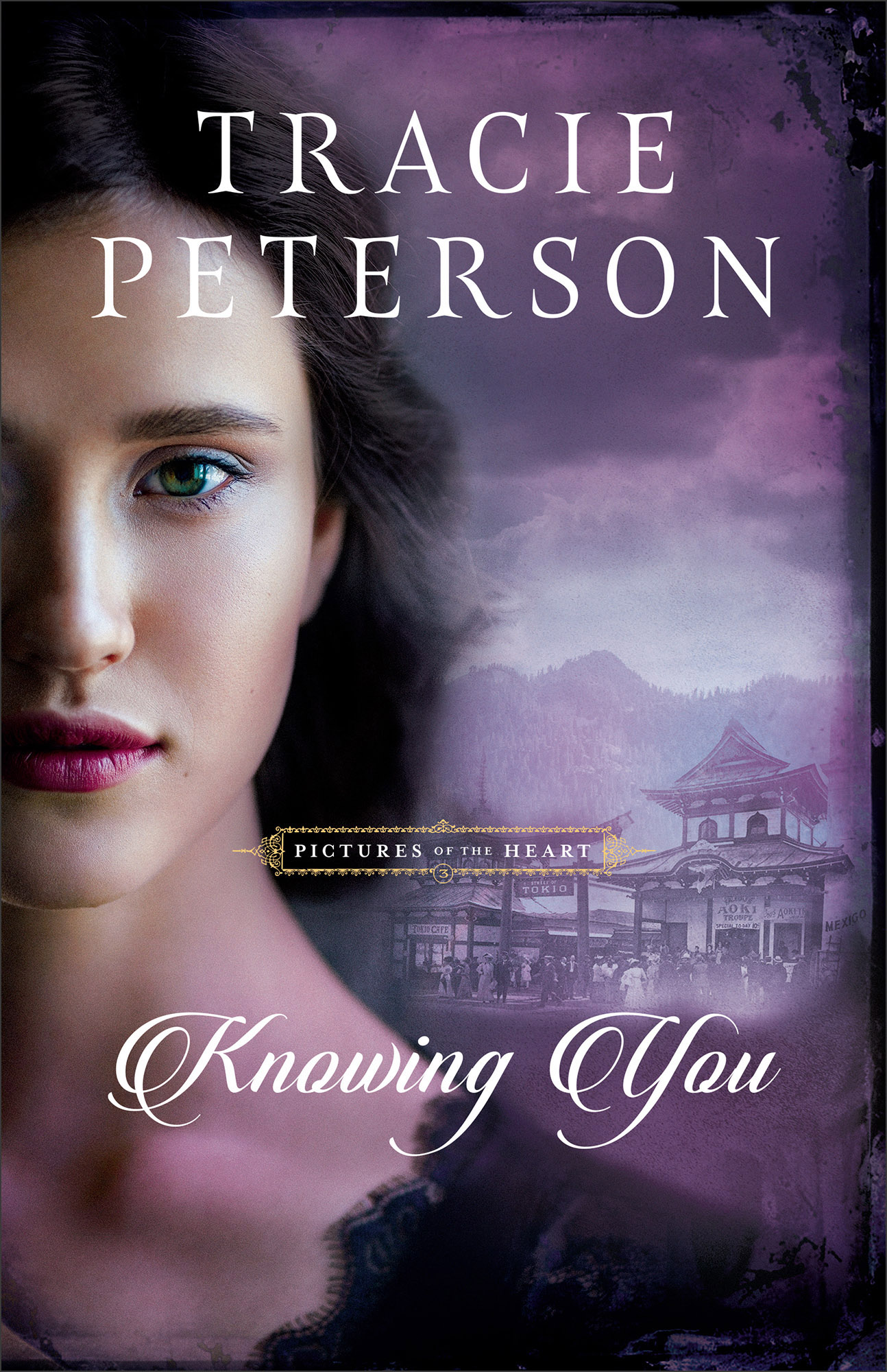 Image de couverture de Knowing You (Pictures of the Heart Book #3) [electronic resource] :