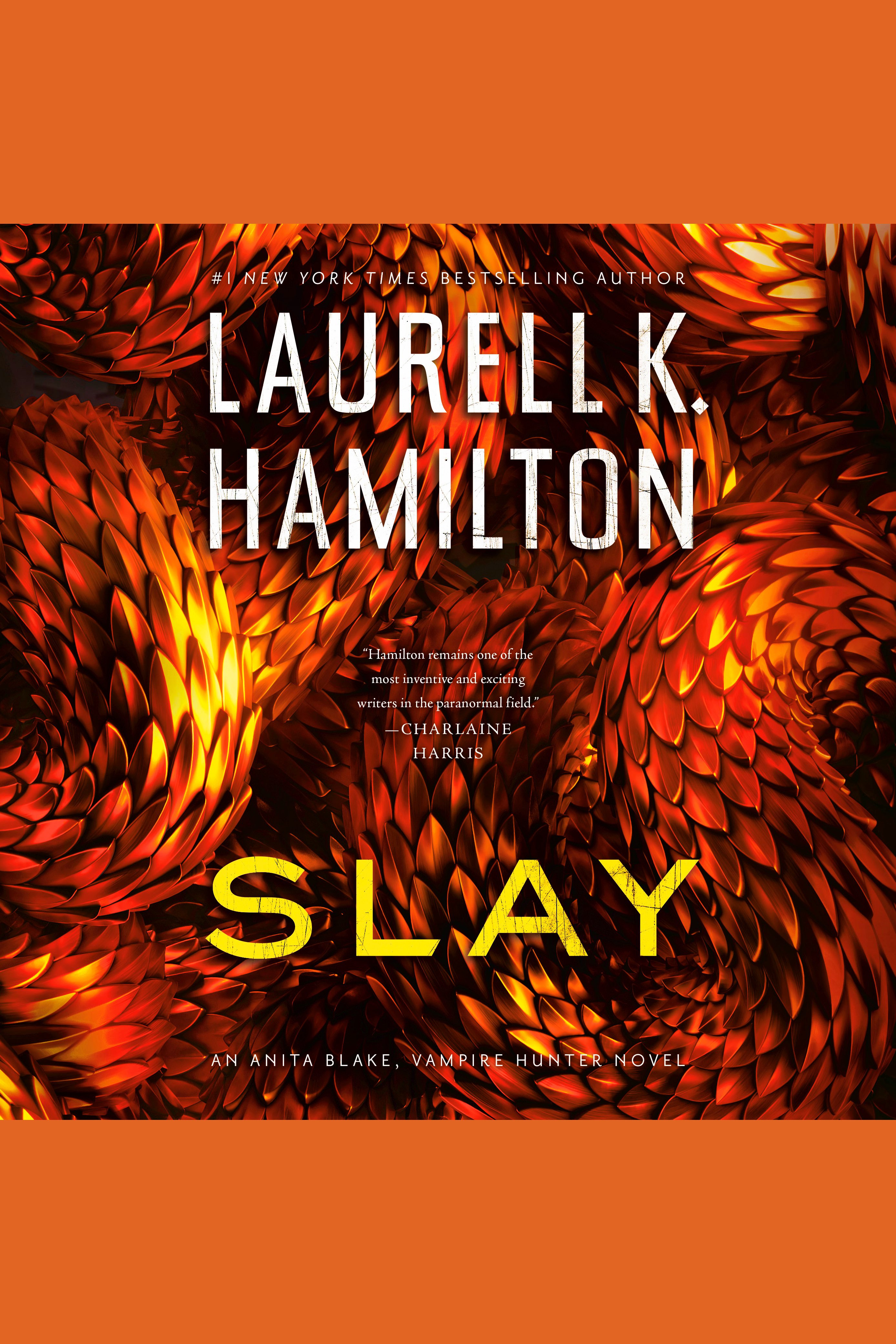 Cover image for Slay [electronic resource] :