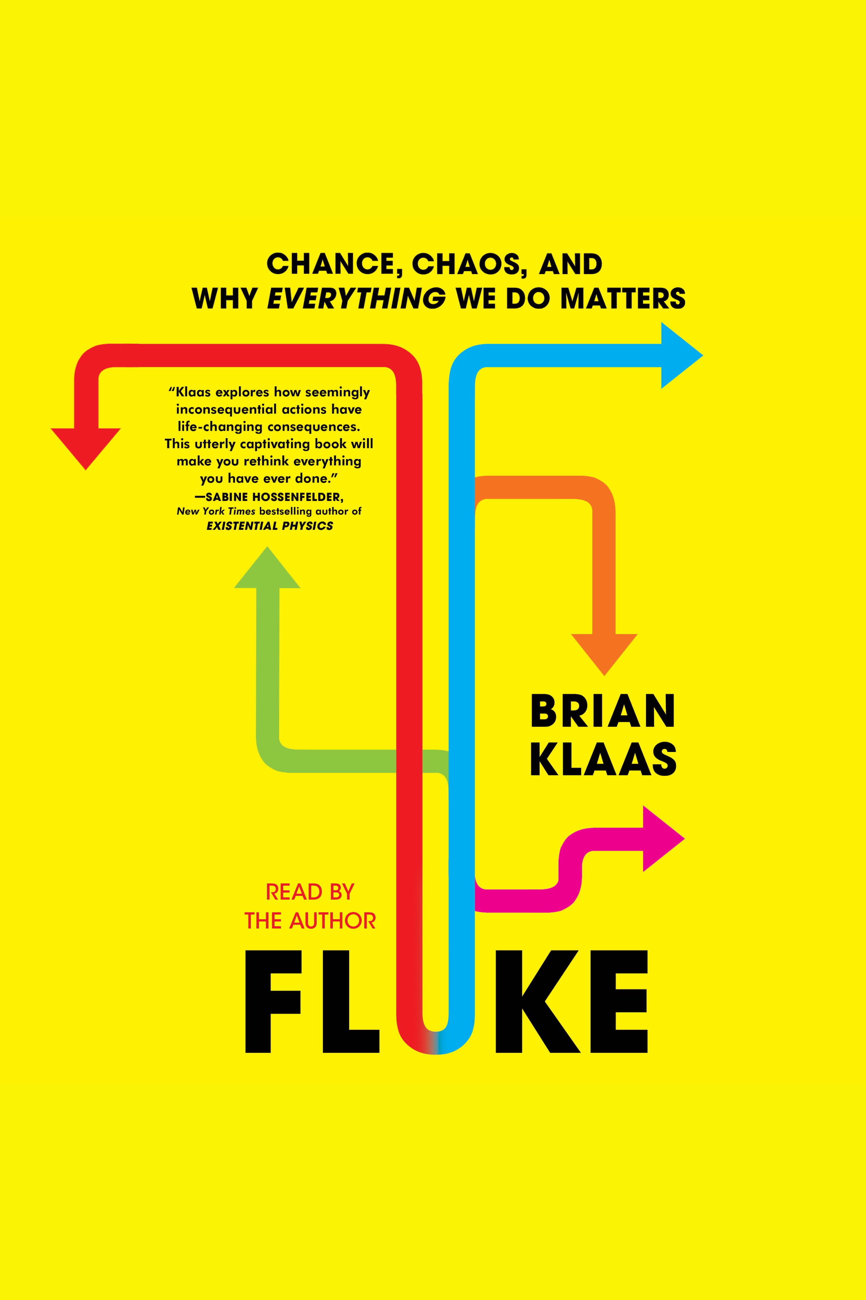 Fluke Chance, Chaos, and Why Everything We Do Matters cover image