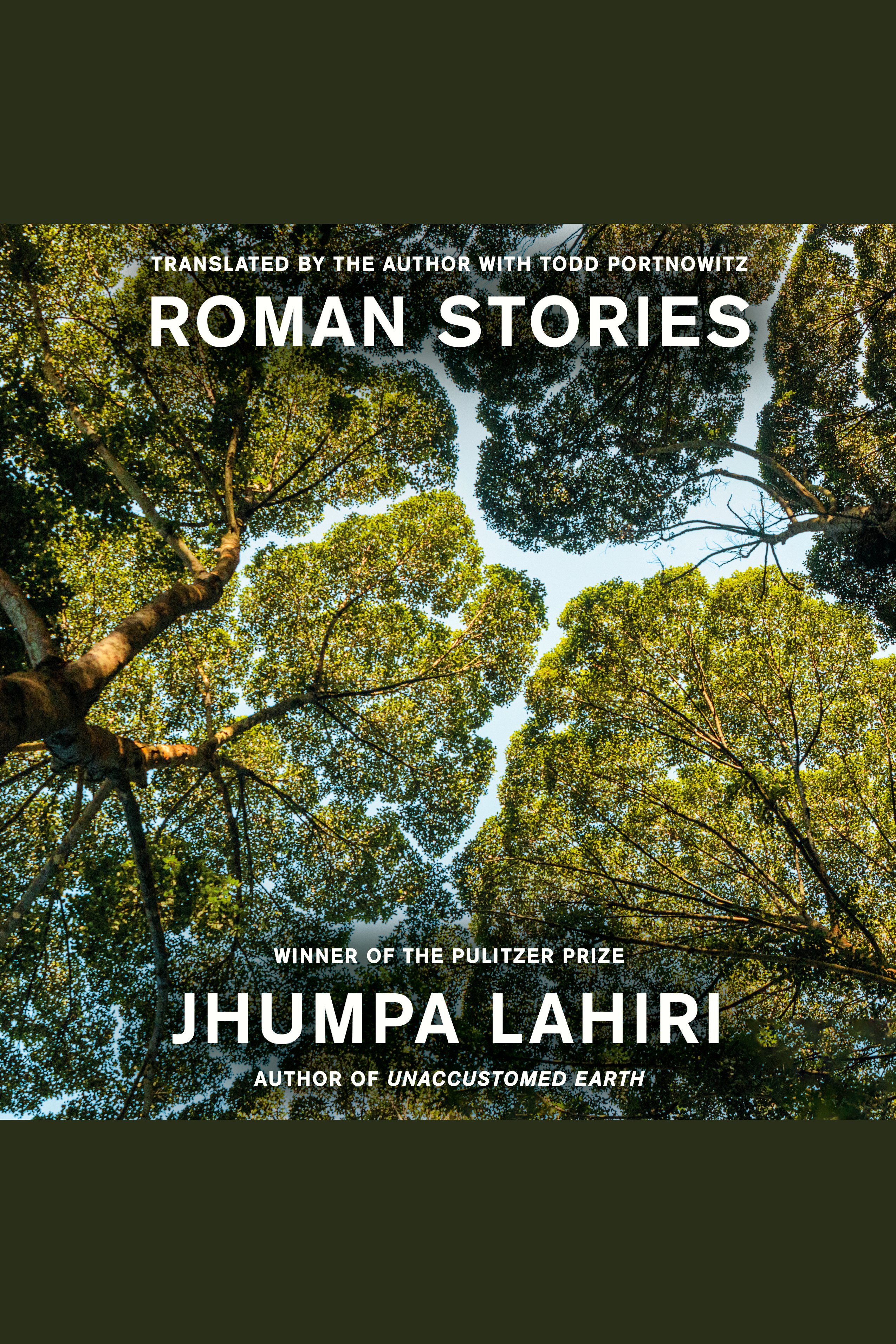 Roman Stories cover image
