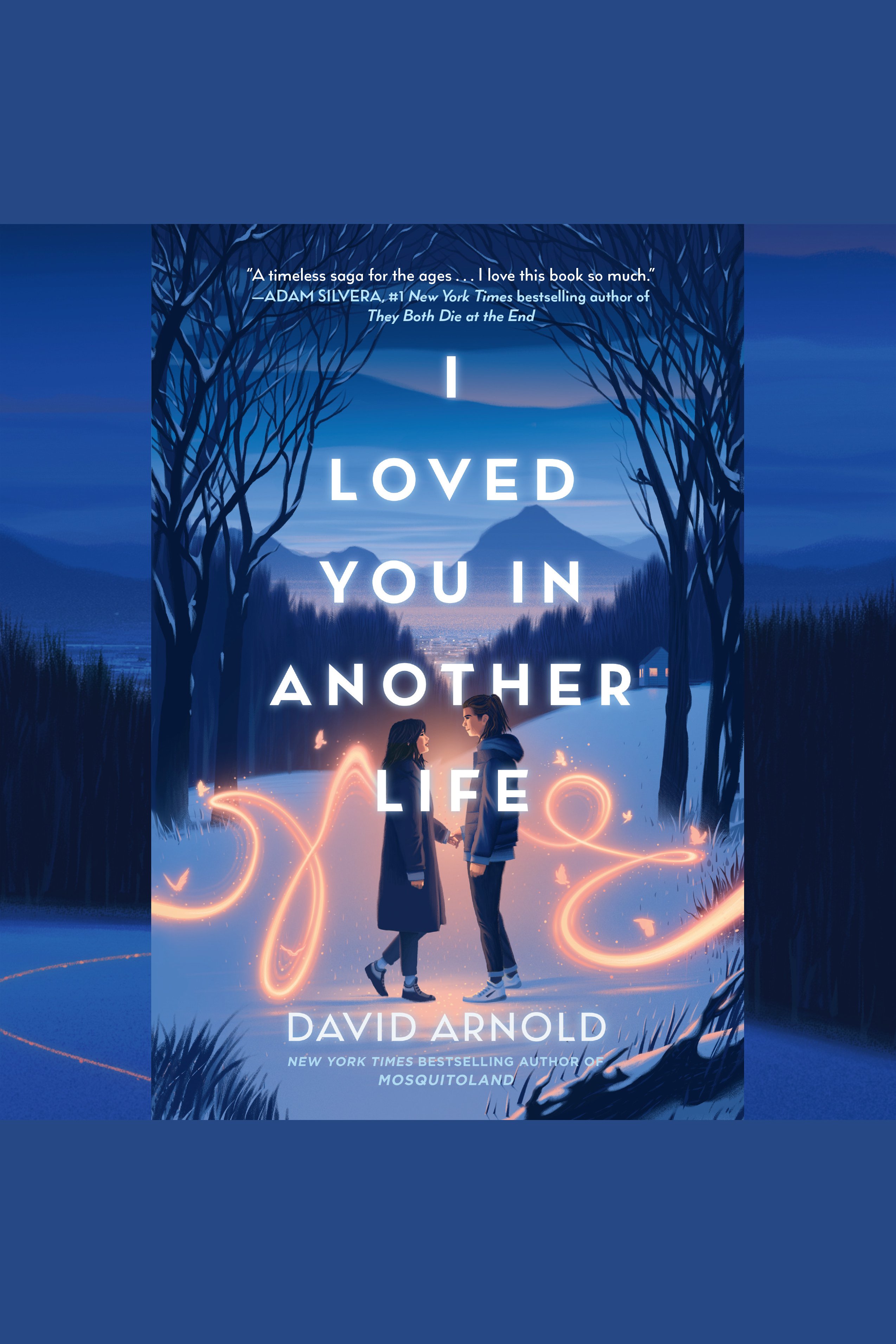 I Loved You in Another Life cover image