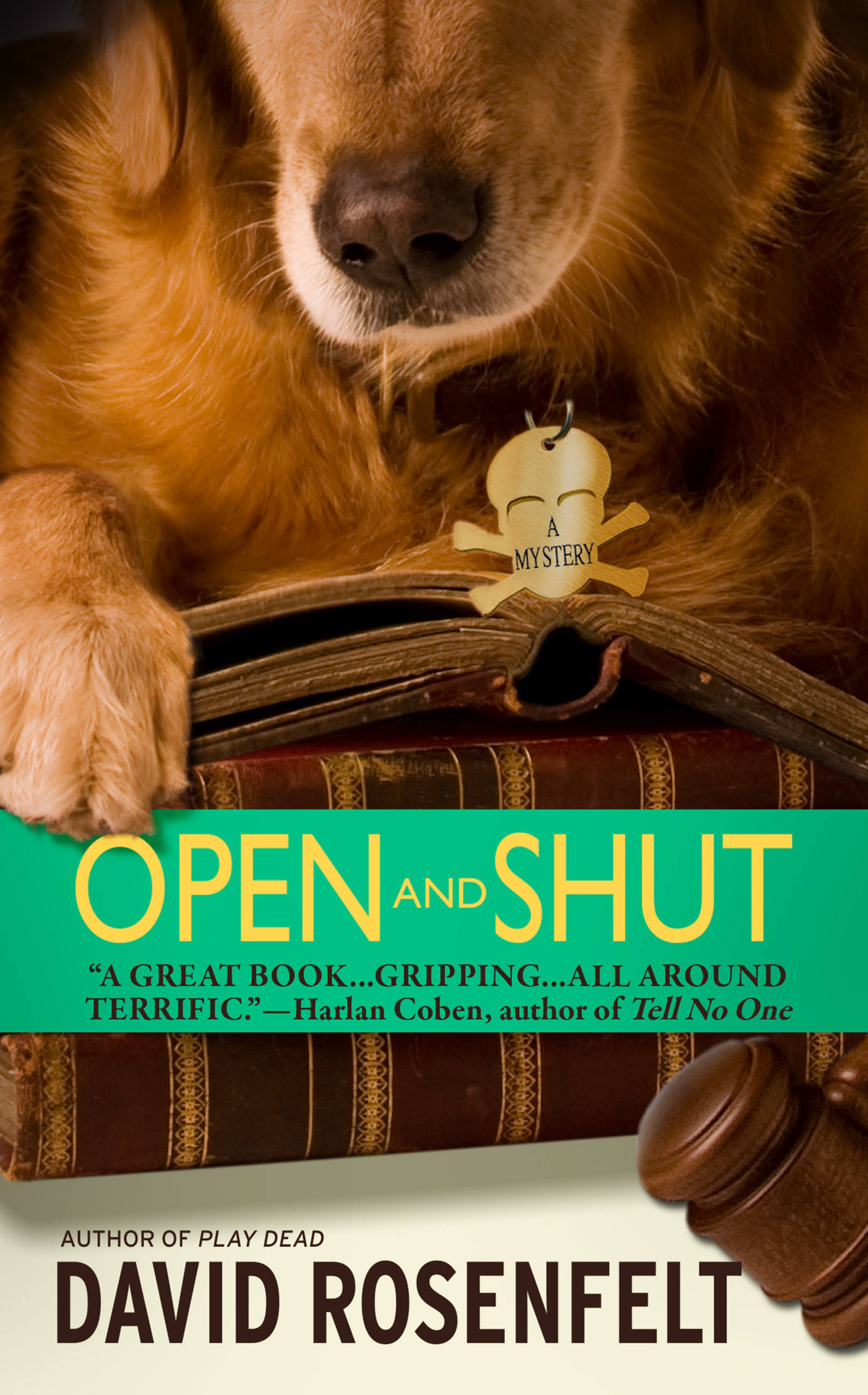 Cover image for Open and Shut [electronic resource] :