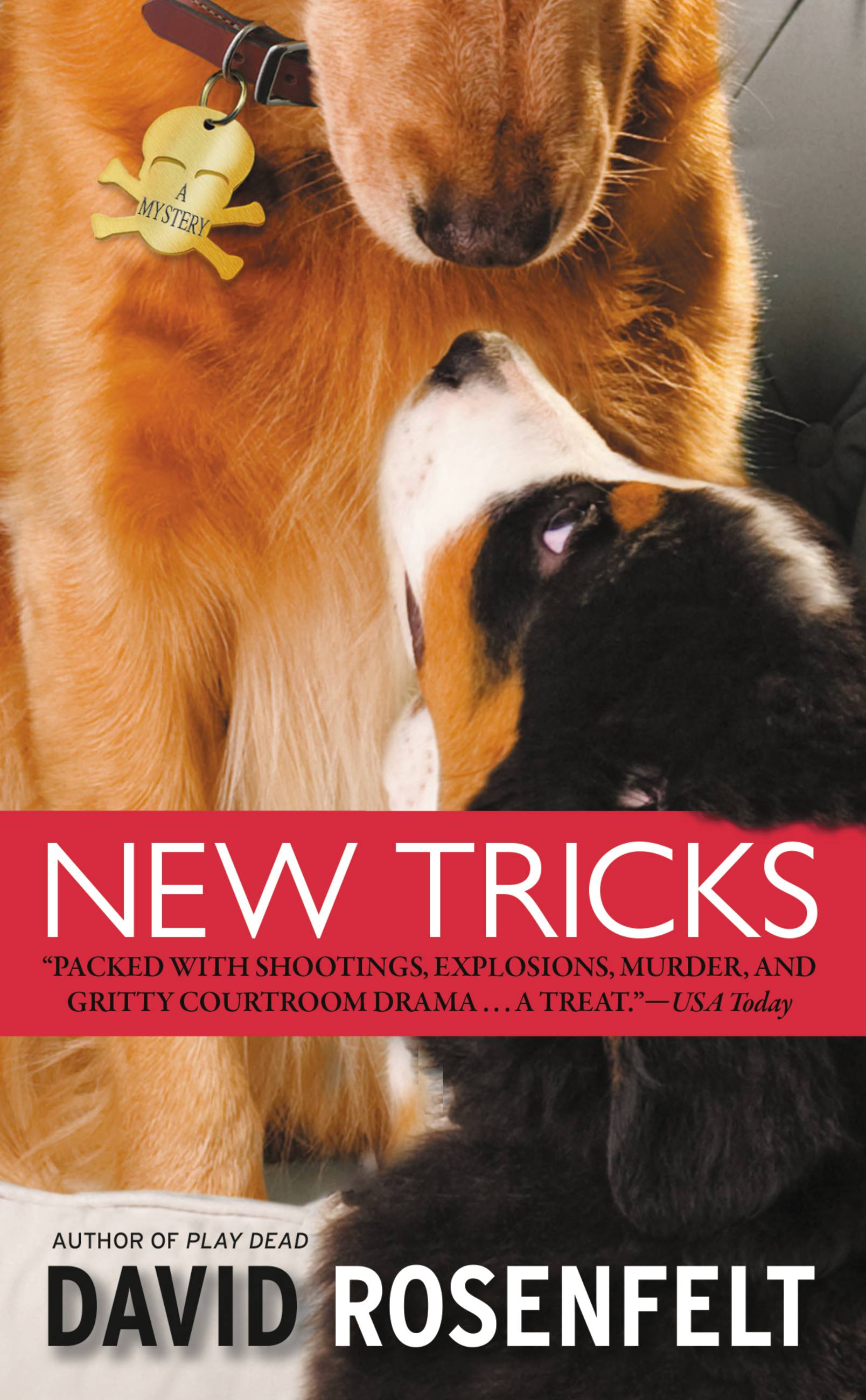 Cover image for New Tricks [electronic resource] :