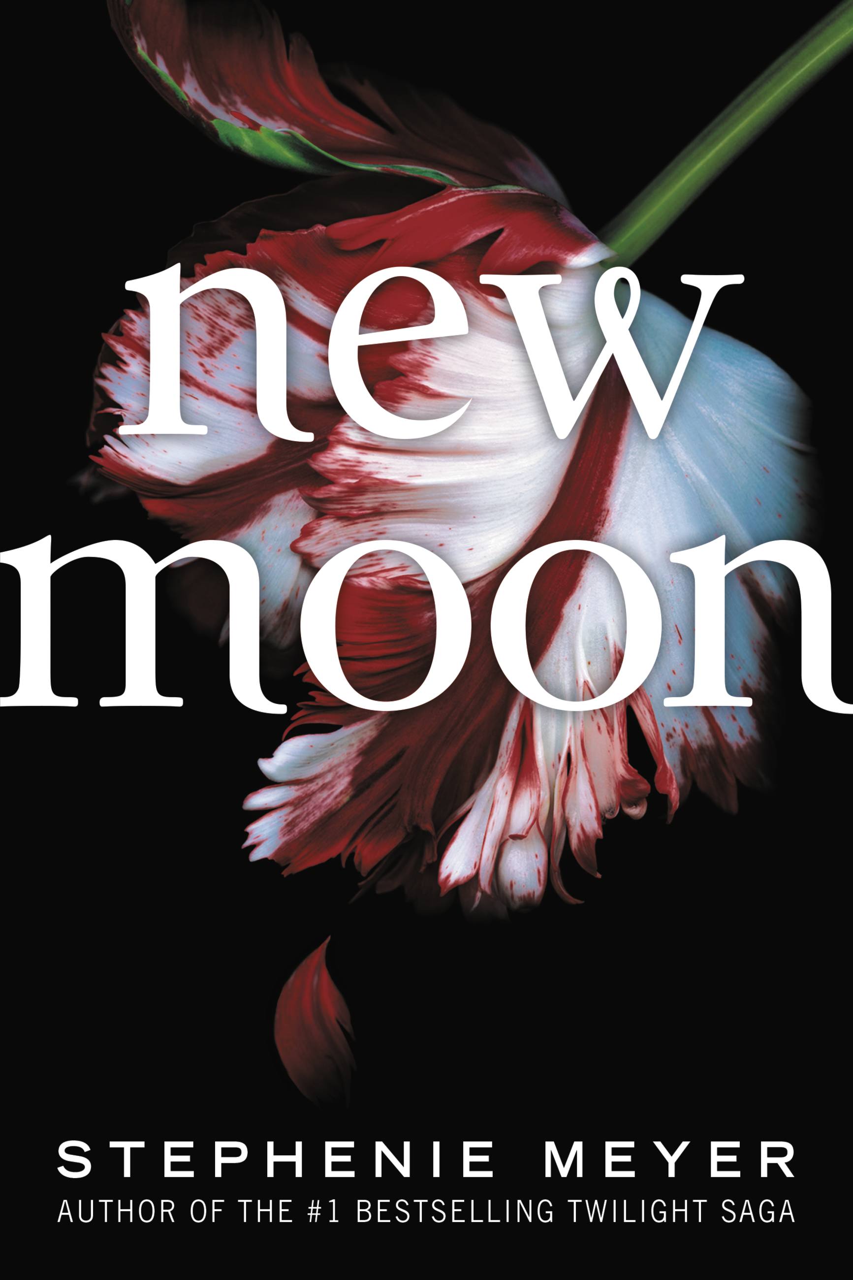 Cover image for New Moon [electronic resource] :