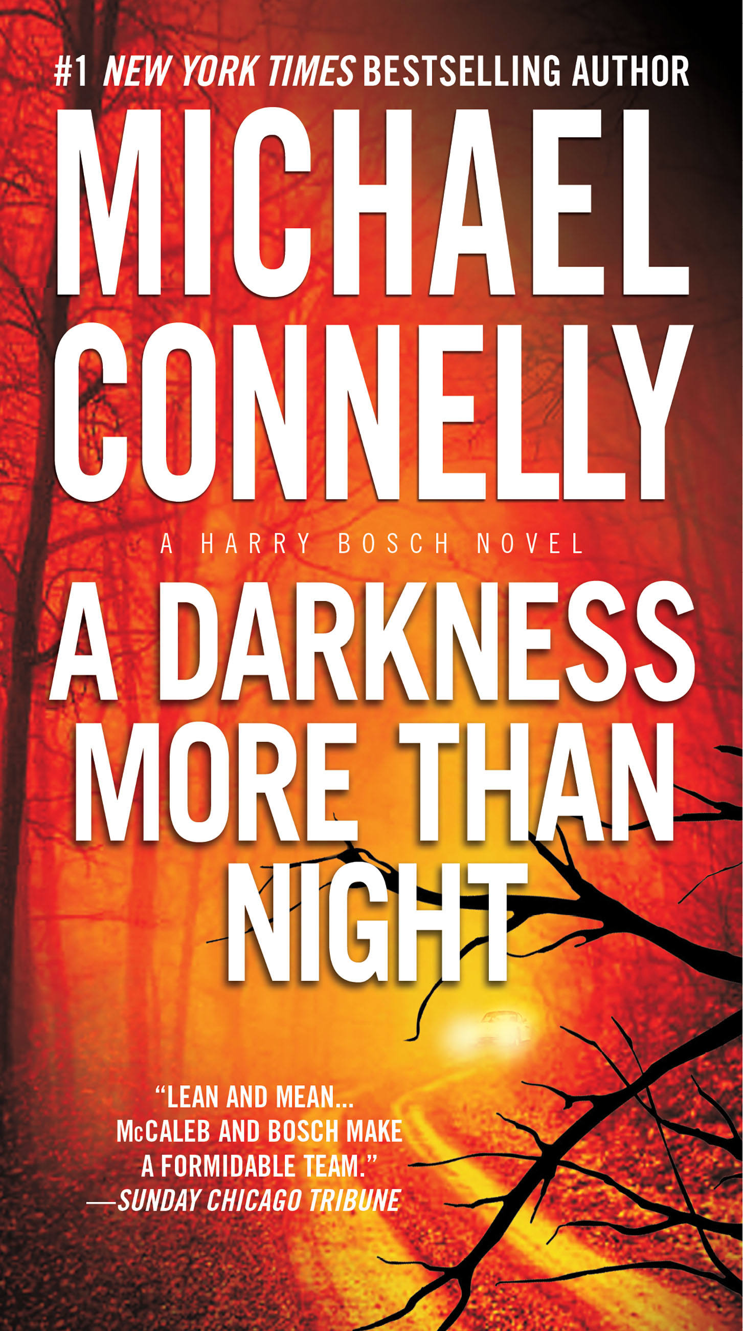 Image de couverture de A Darkness More Than Night [electronic resource] :