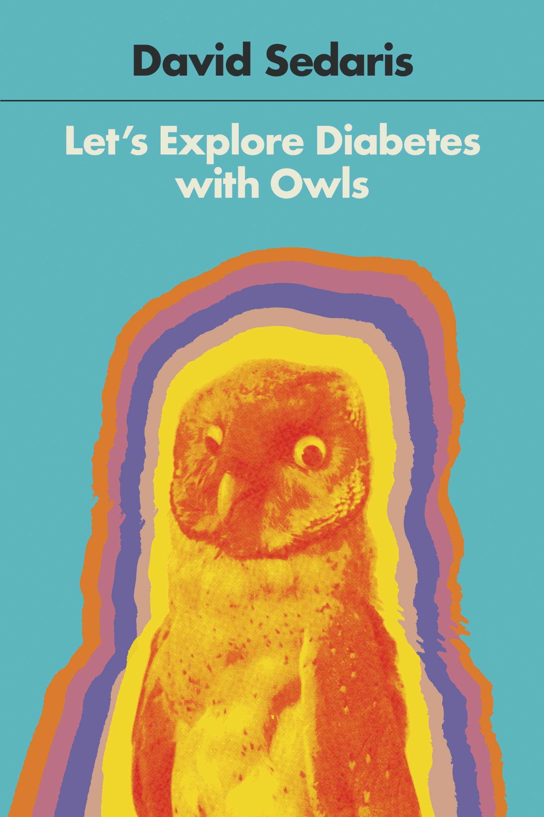 Imagen de portada para Let's Explore Diabetes with Owls [electronic resource] :