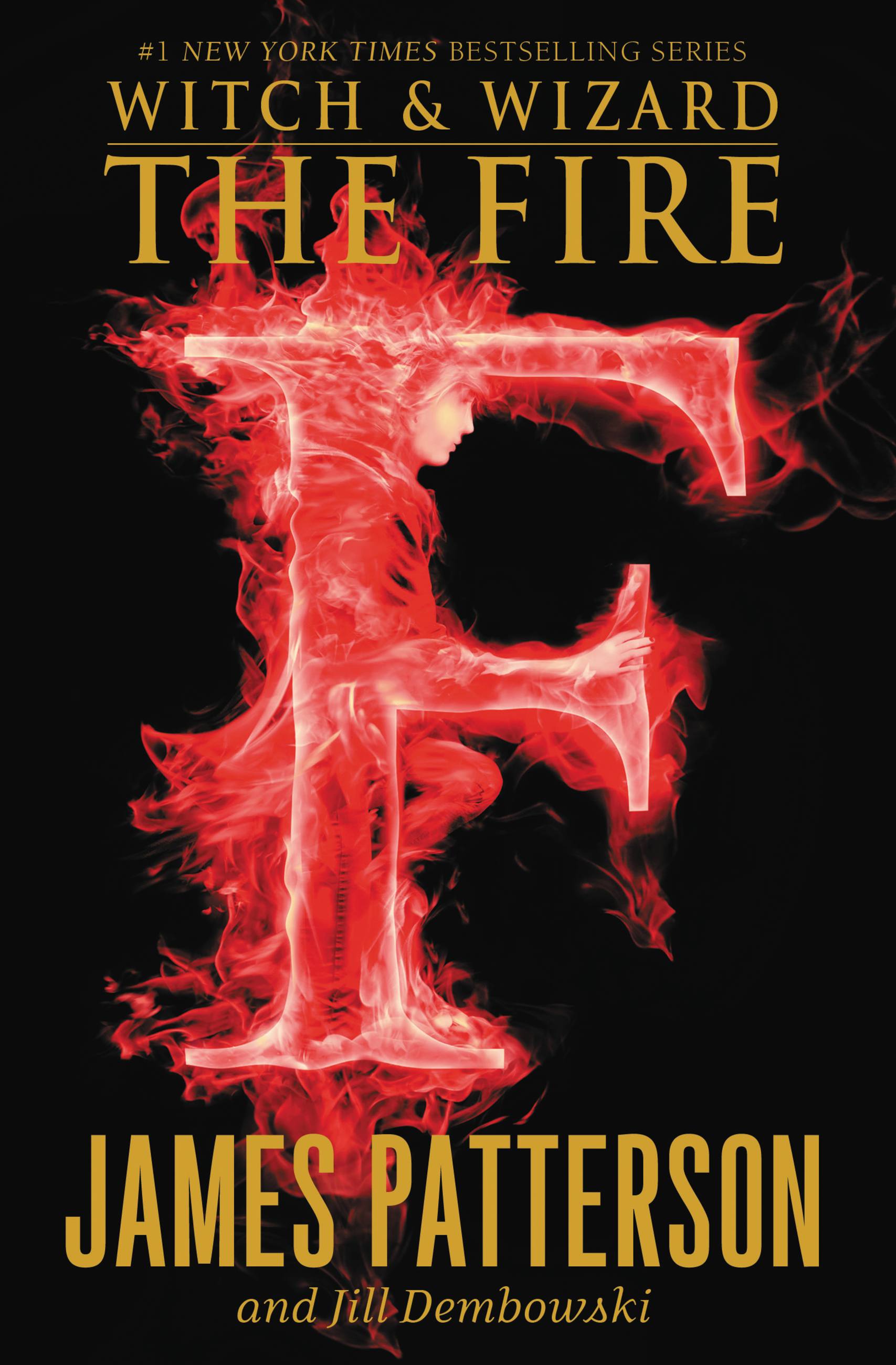 Cover image for The Fire [electronic resource] :
