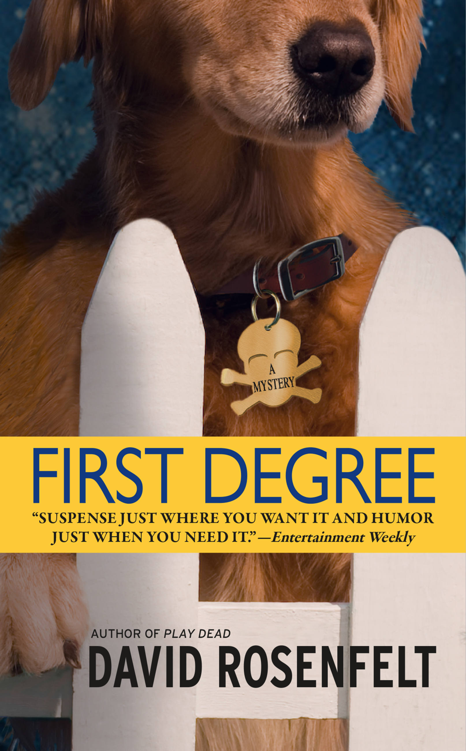Cover image for First Degree [electronic resource] :