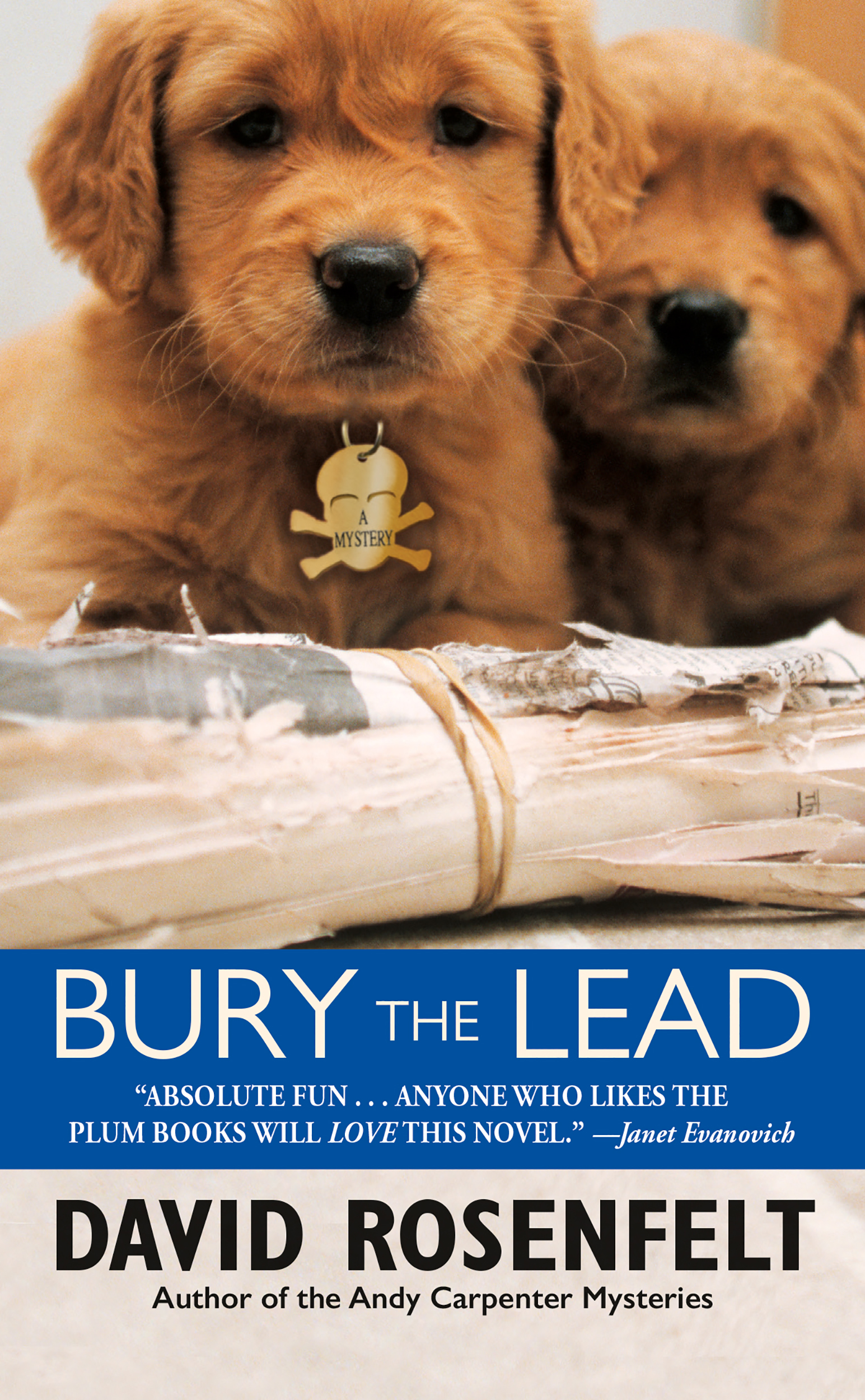 Cover image for Bury the Lead [electronic resource] :
