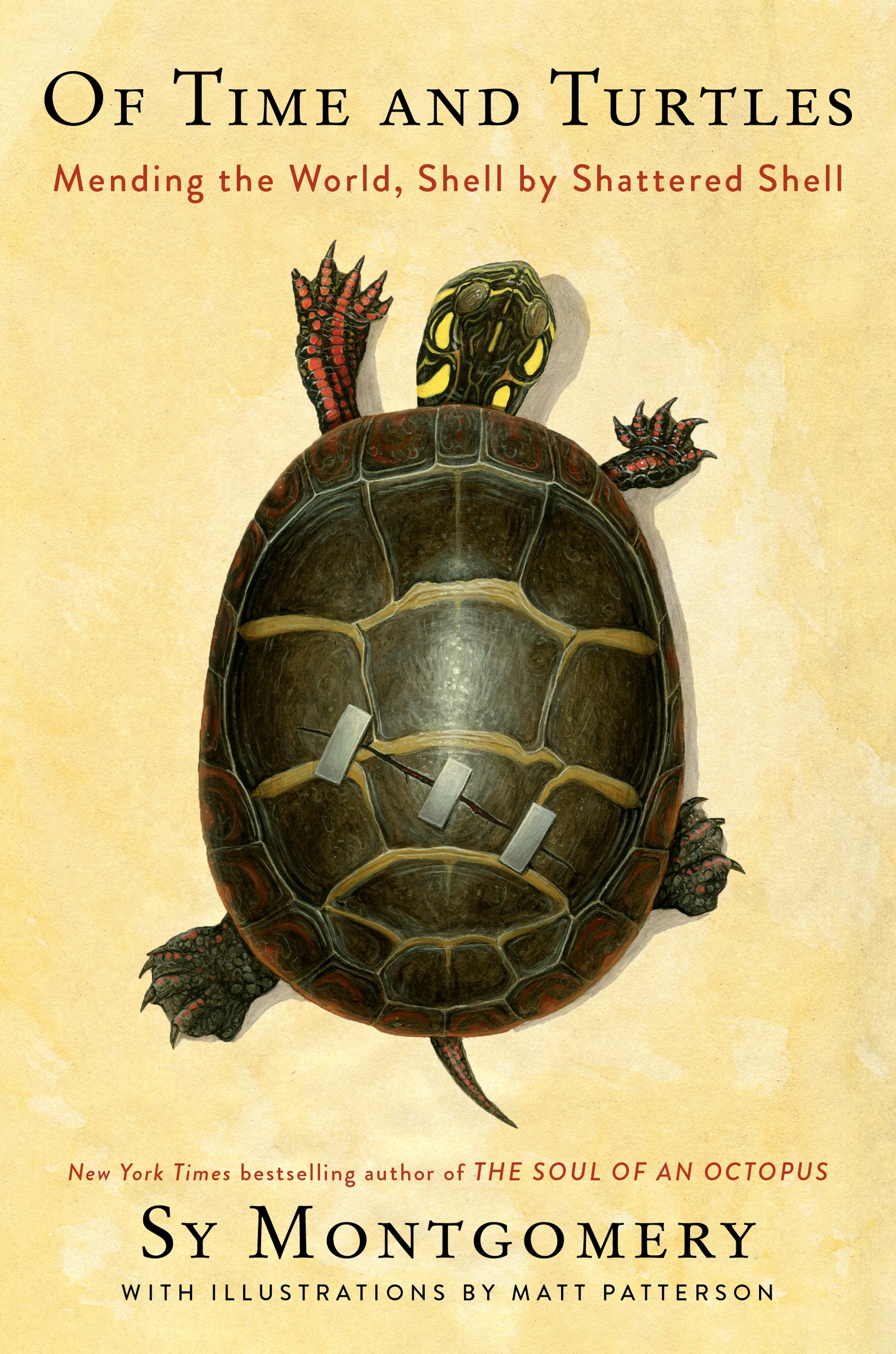 Of Time and Turtles Mending the World, Shell by Shattered Shell cover image
