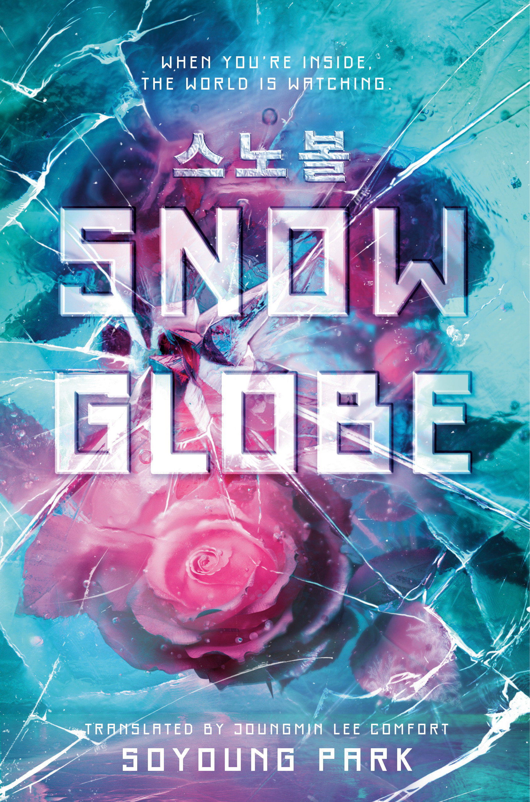 Snowglobe cover image