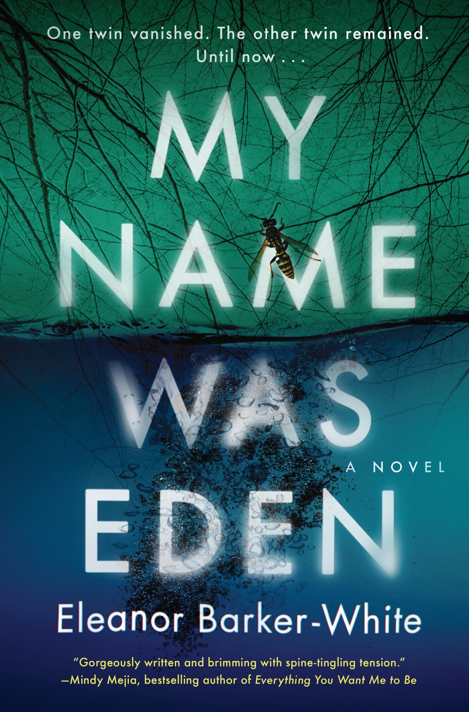 Cover image for My Name Was Eden [electronic resource] : A Novel