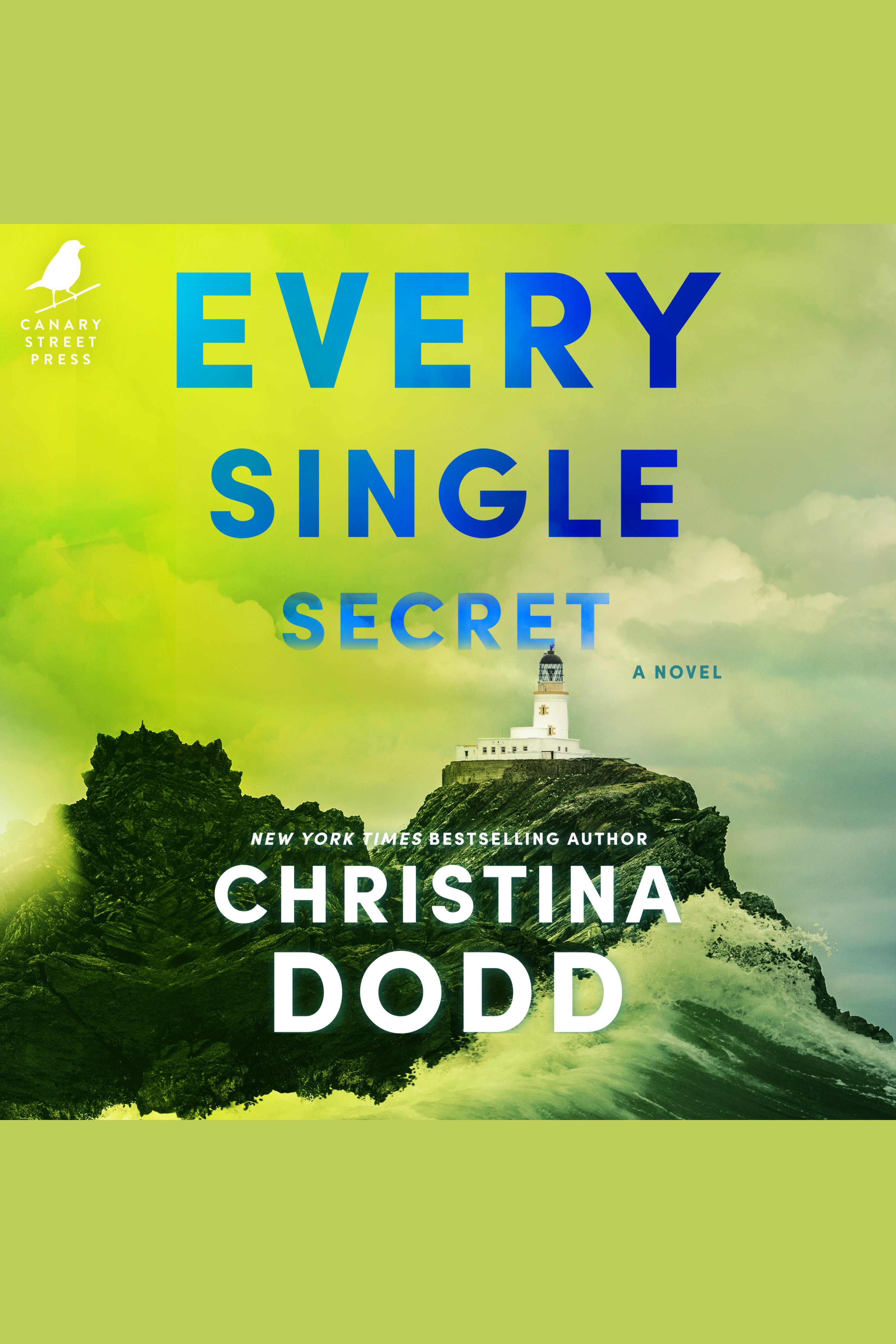 Cover image for Every Single Secret [electronic resource] :