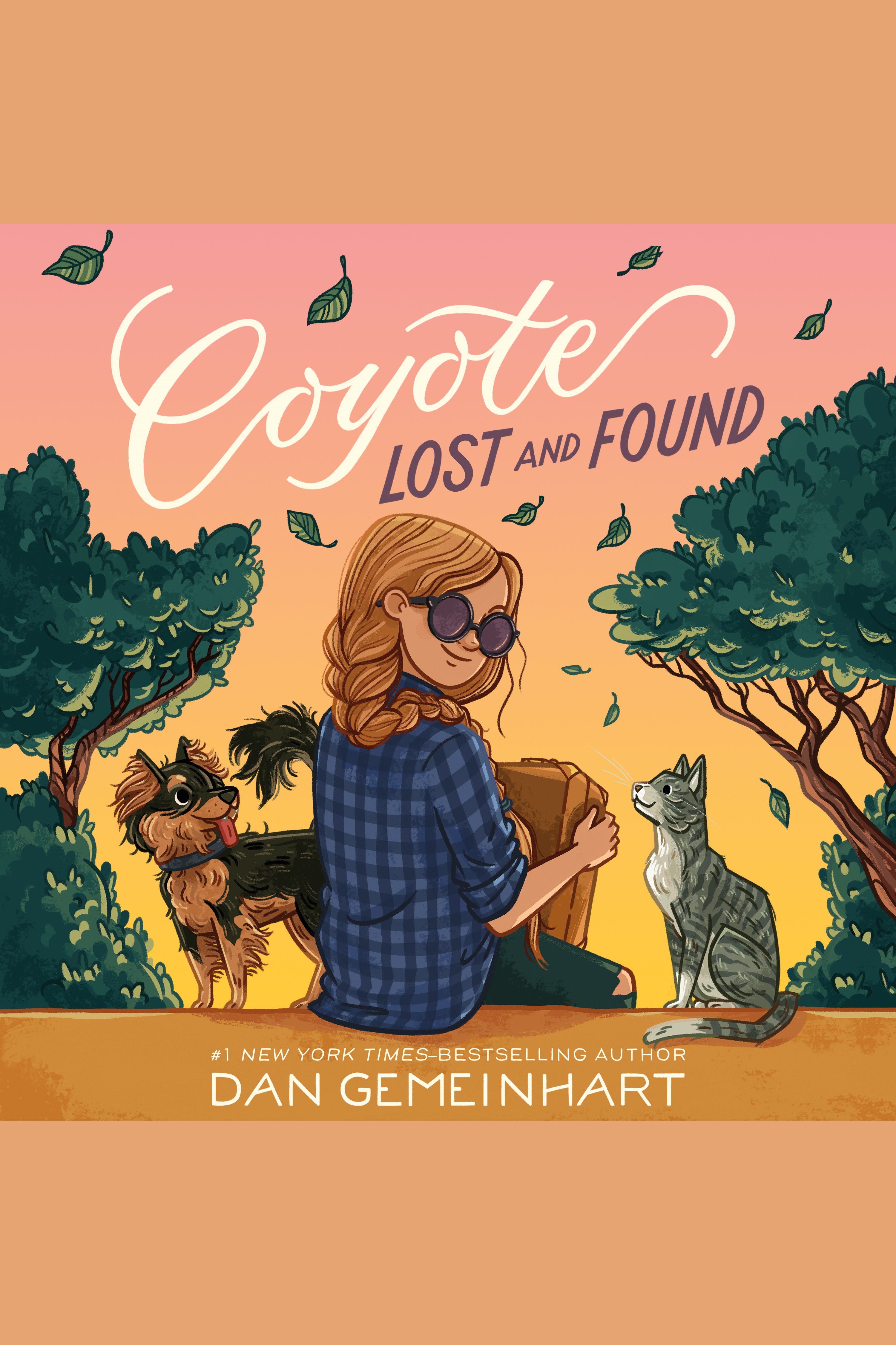 Coyote Lost and Found cover image