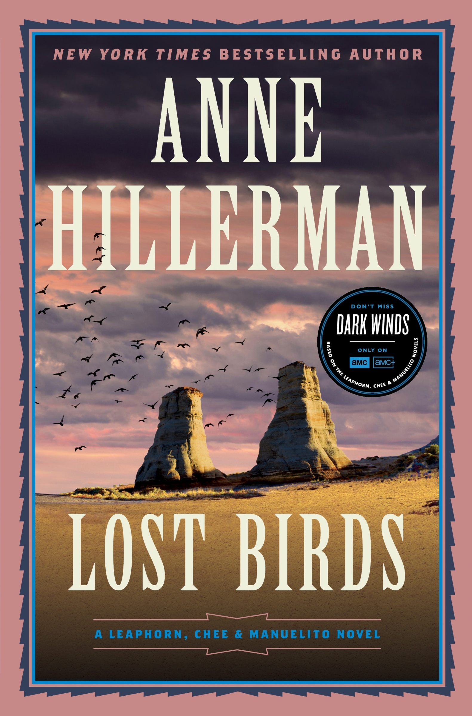 Lost Birds cover image