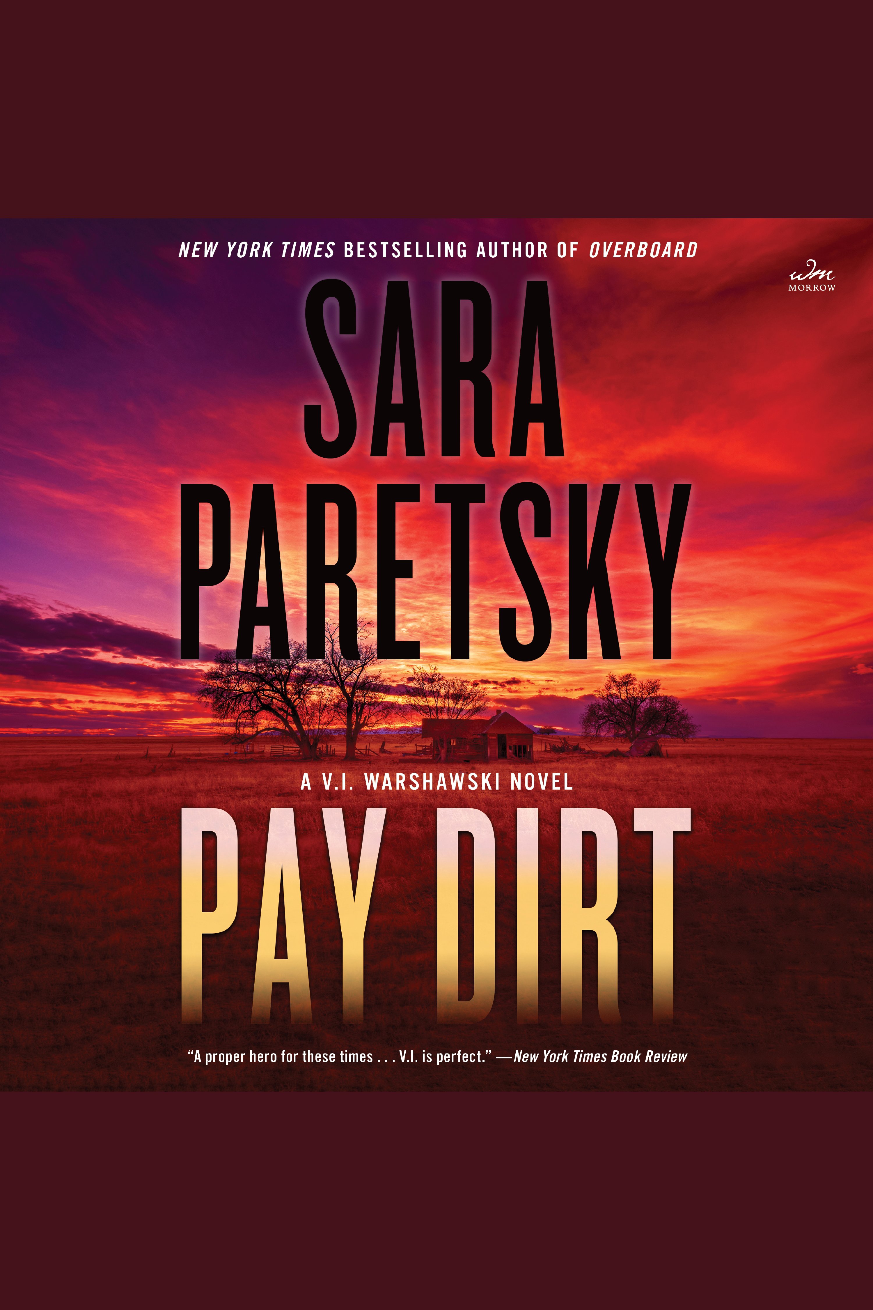 Pay Dirt cover image