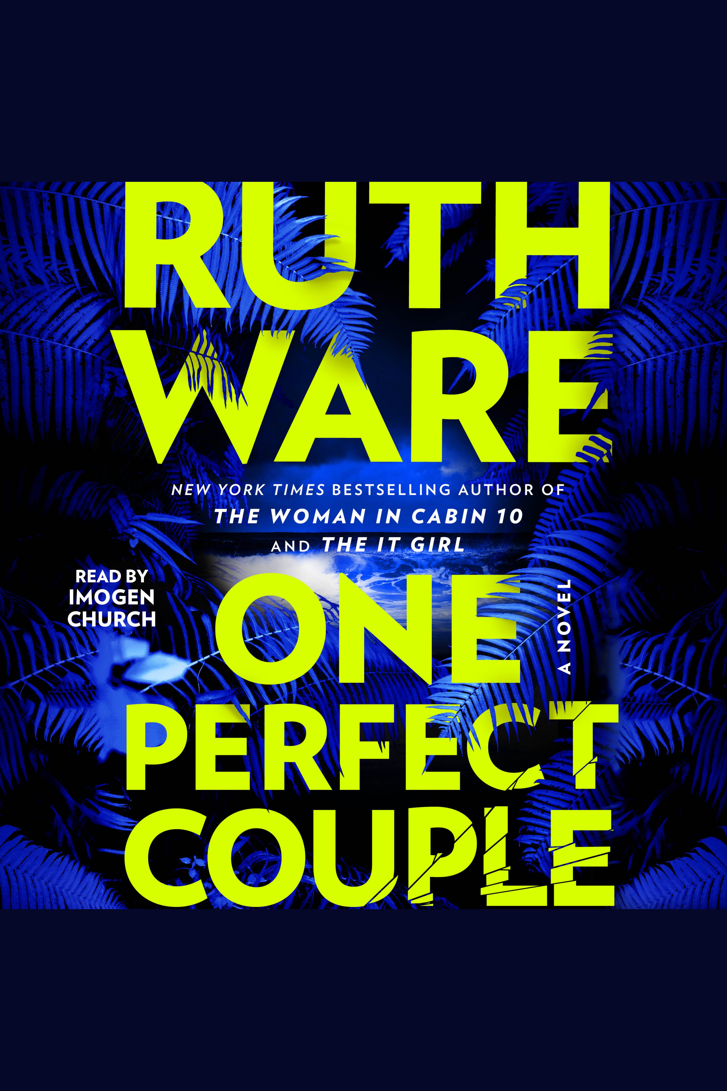 One Perfect Couple cover image