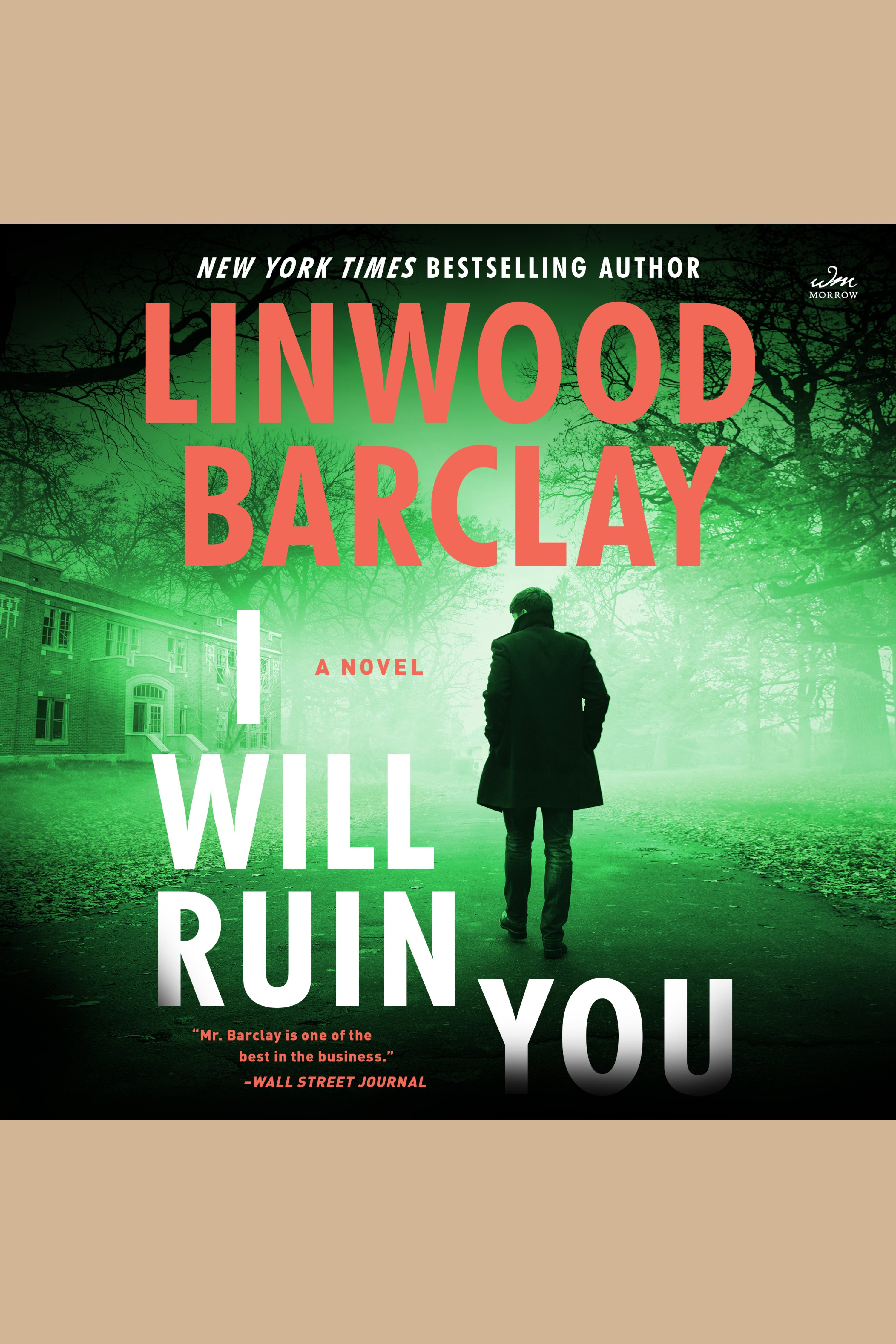 Image de couverture de I Will Ruin You [electronic resource] : A Novel