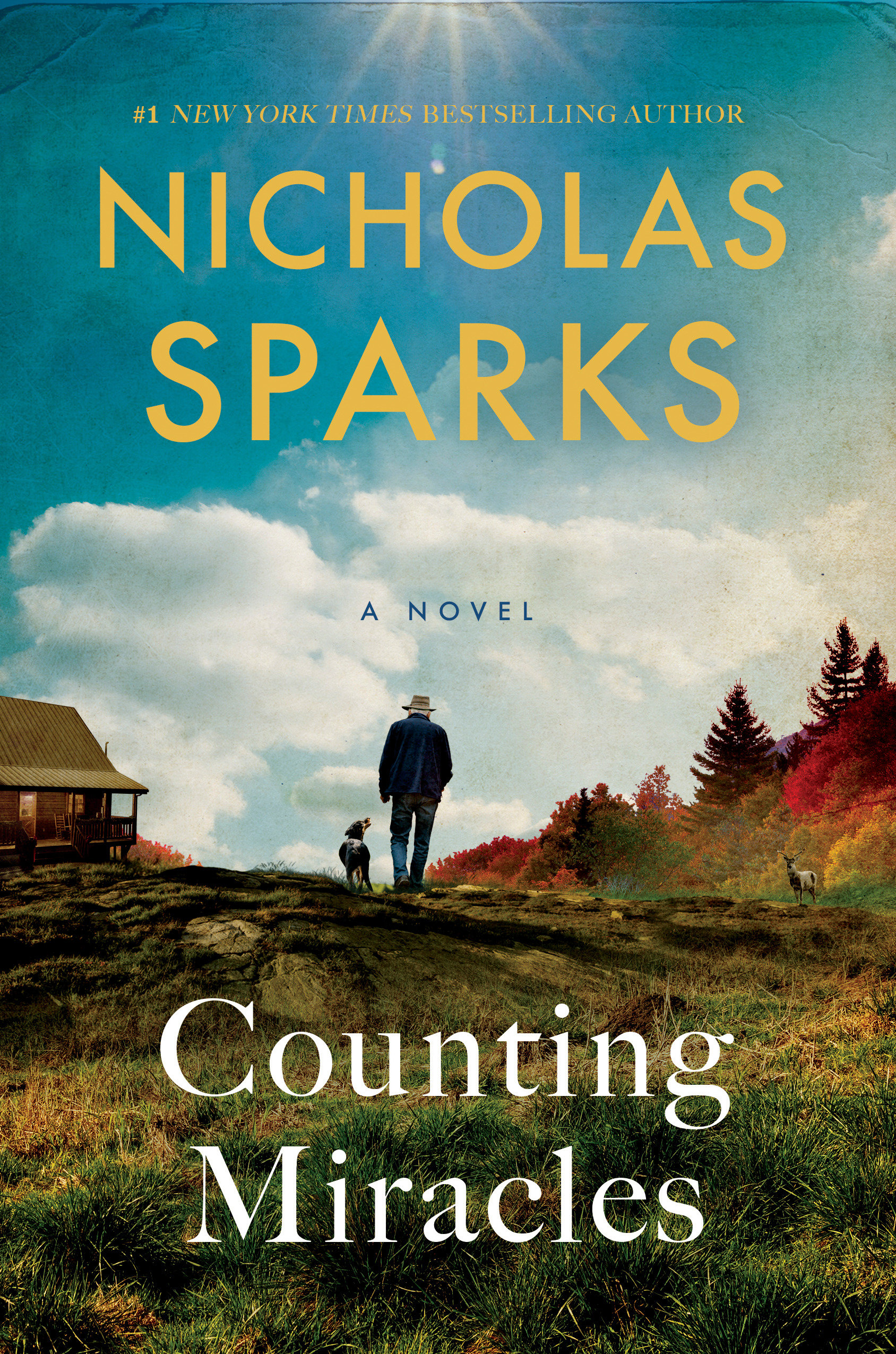 Counting Miracles A Novel cover image