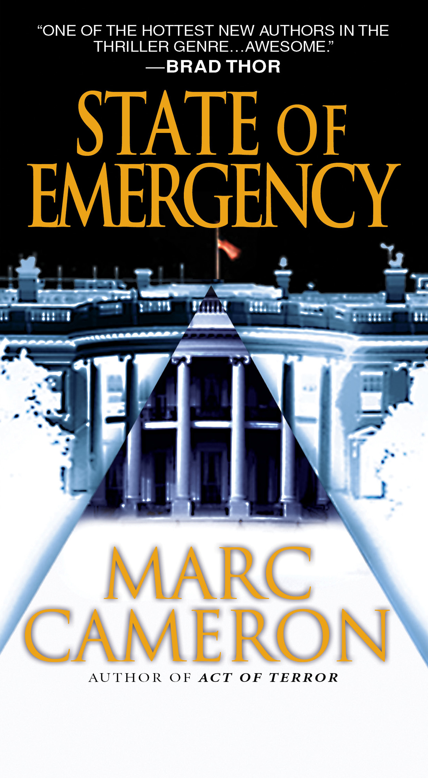 Image de couverture de State of Emergency [electronic resource] :