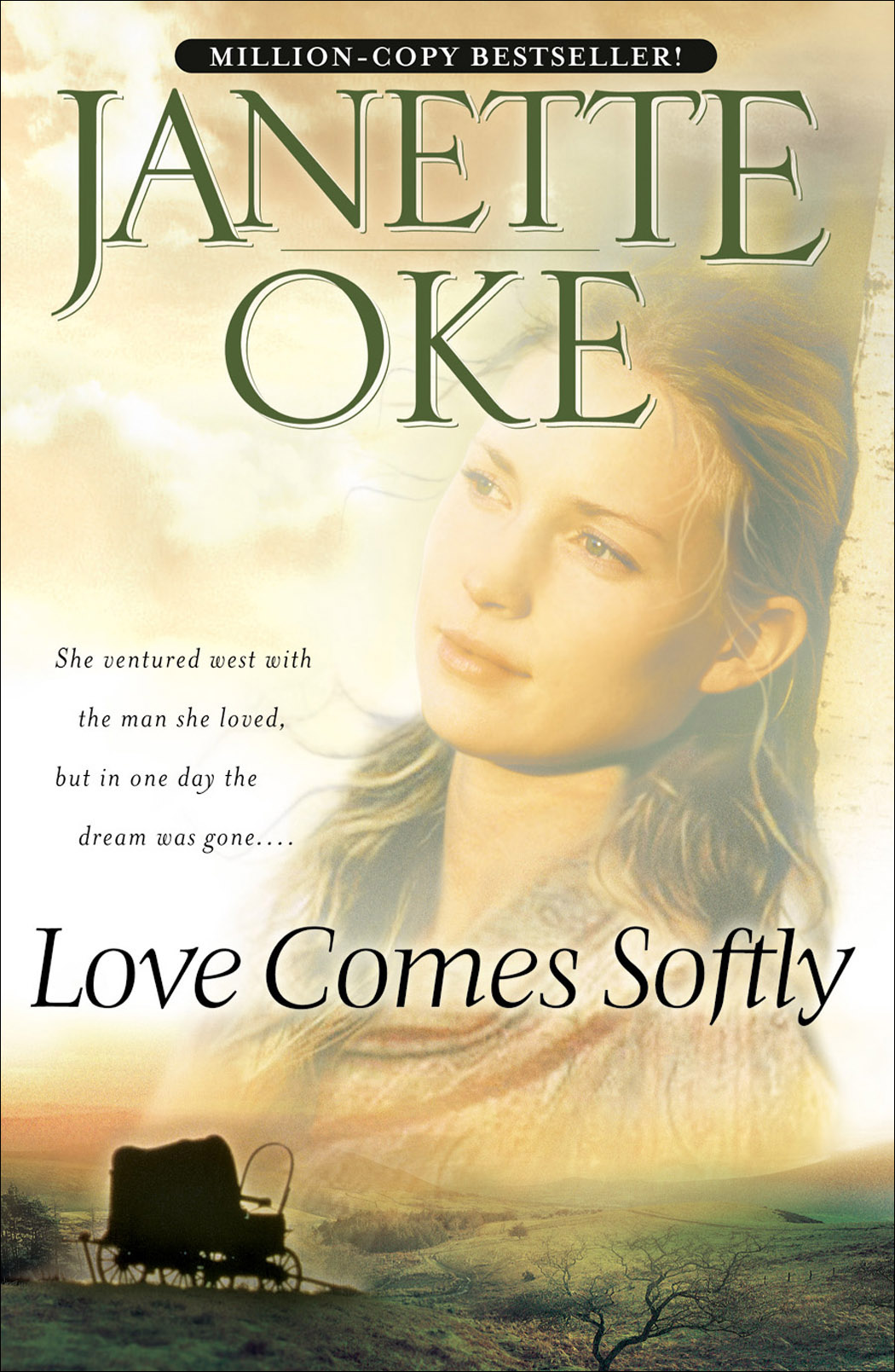 Cover image for Love Comes Softly (Love Comes Softly Book #1) [electronic resource] :