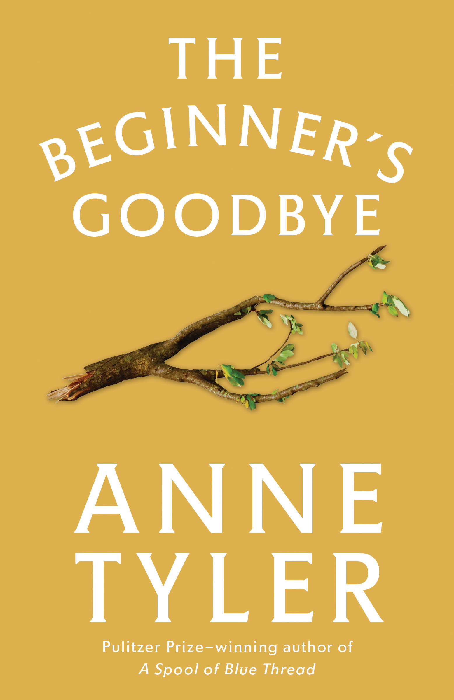 Cover image for The Beginner's Goodbye [electronic resource] :