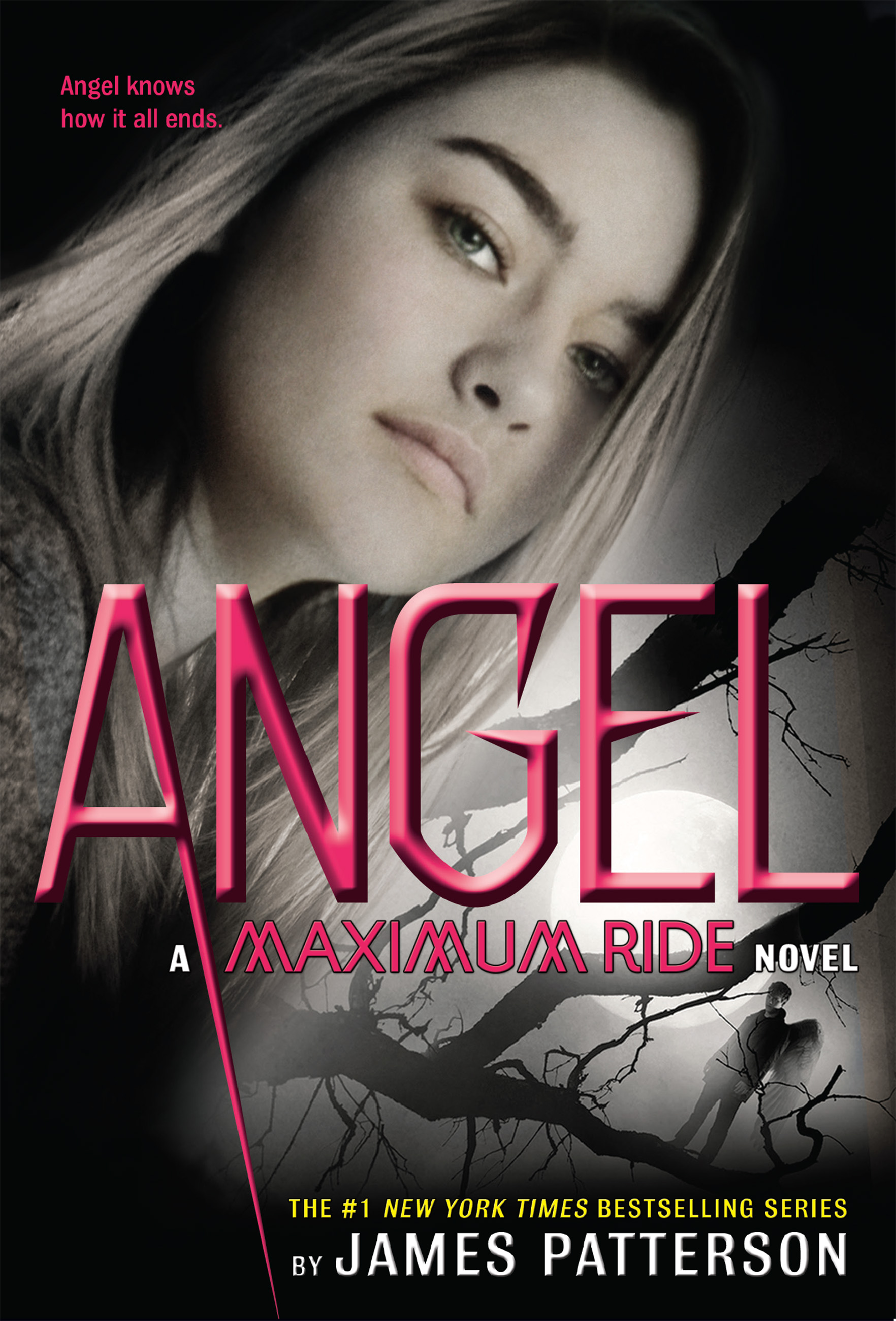 Cover image for Angel [electronic resource] : A Maximum Ride Novel