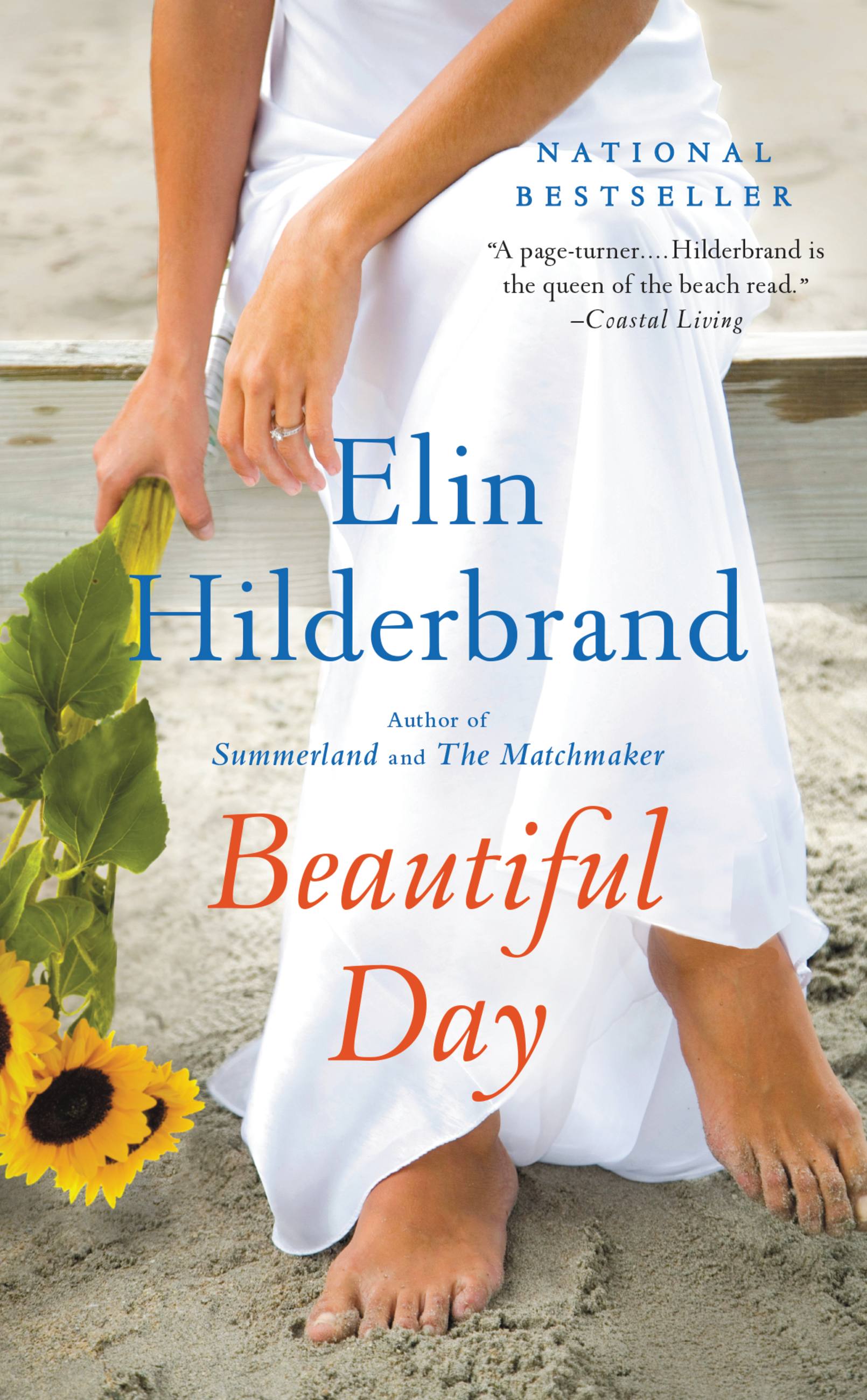 Cover image for Beautiful Day [electronic resource] : A Novel