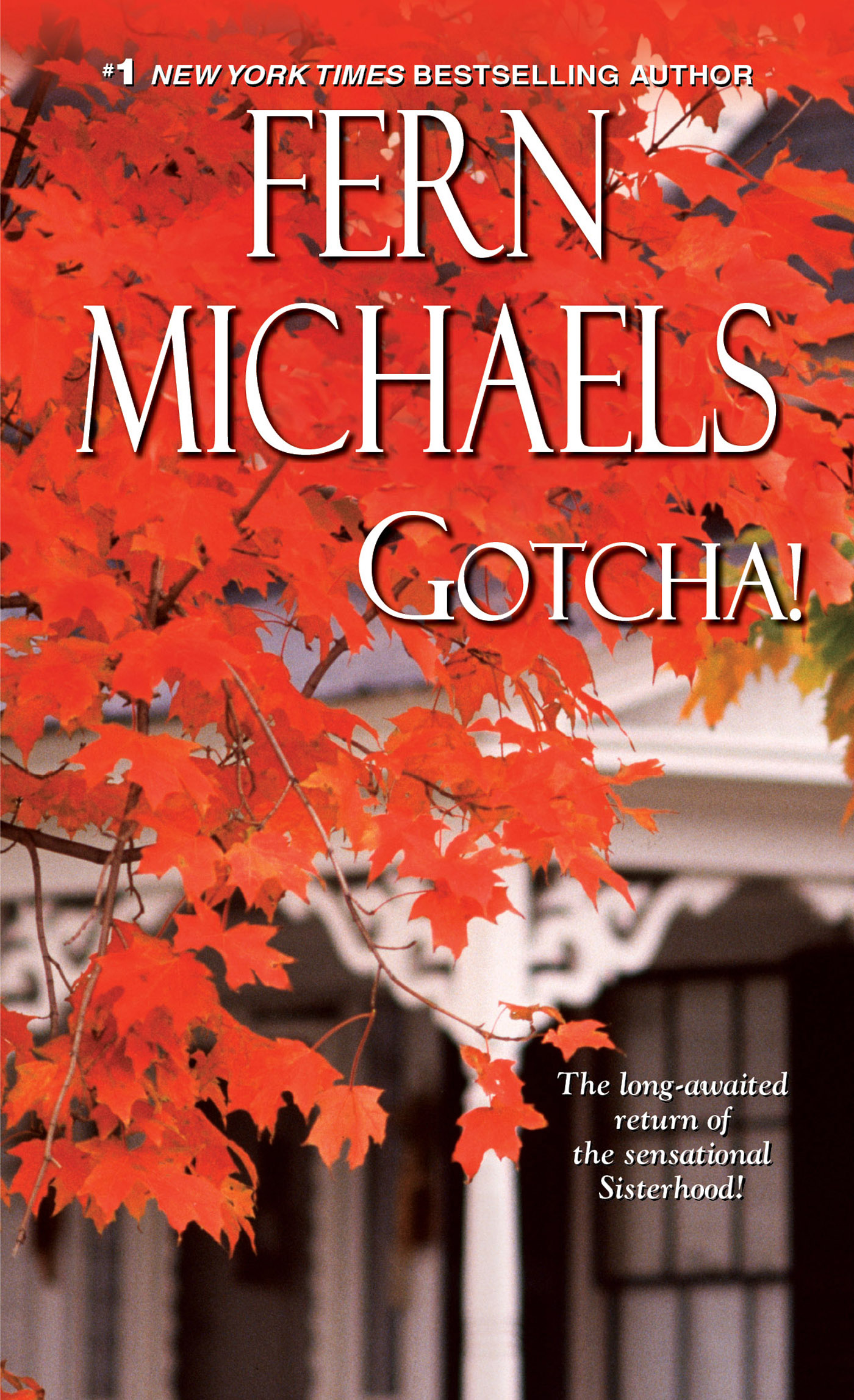 Cover image for Gotcha! [electronic resource] :