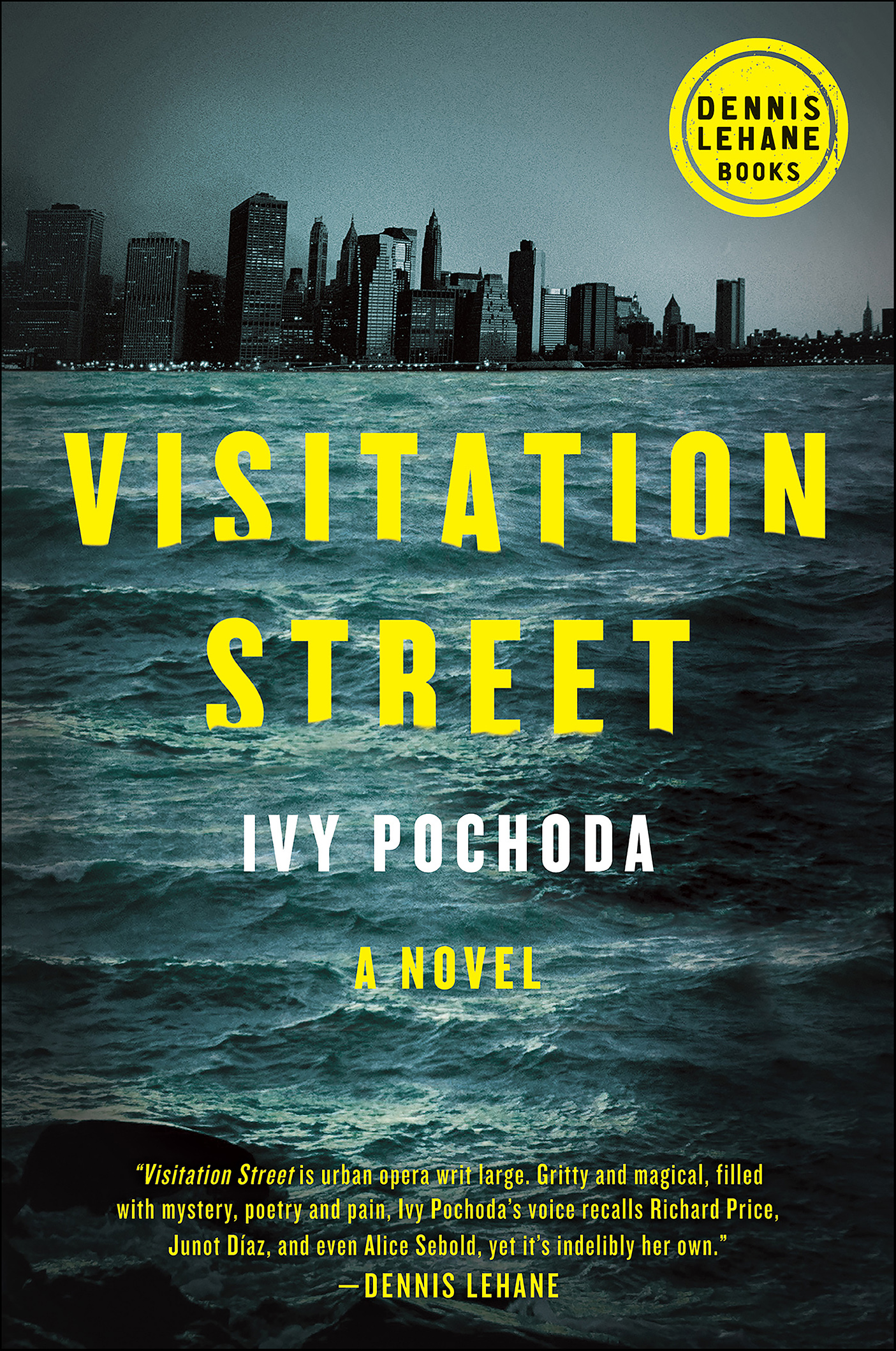 Cover image for Visitation Street [electronic resource] : A Novel