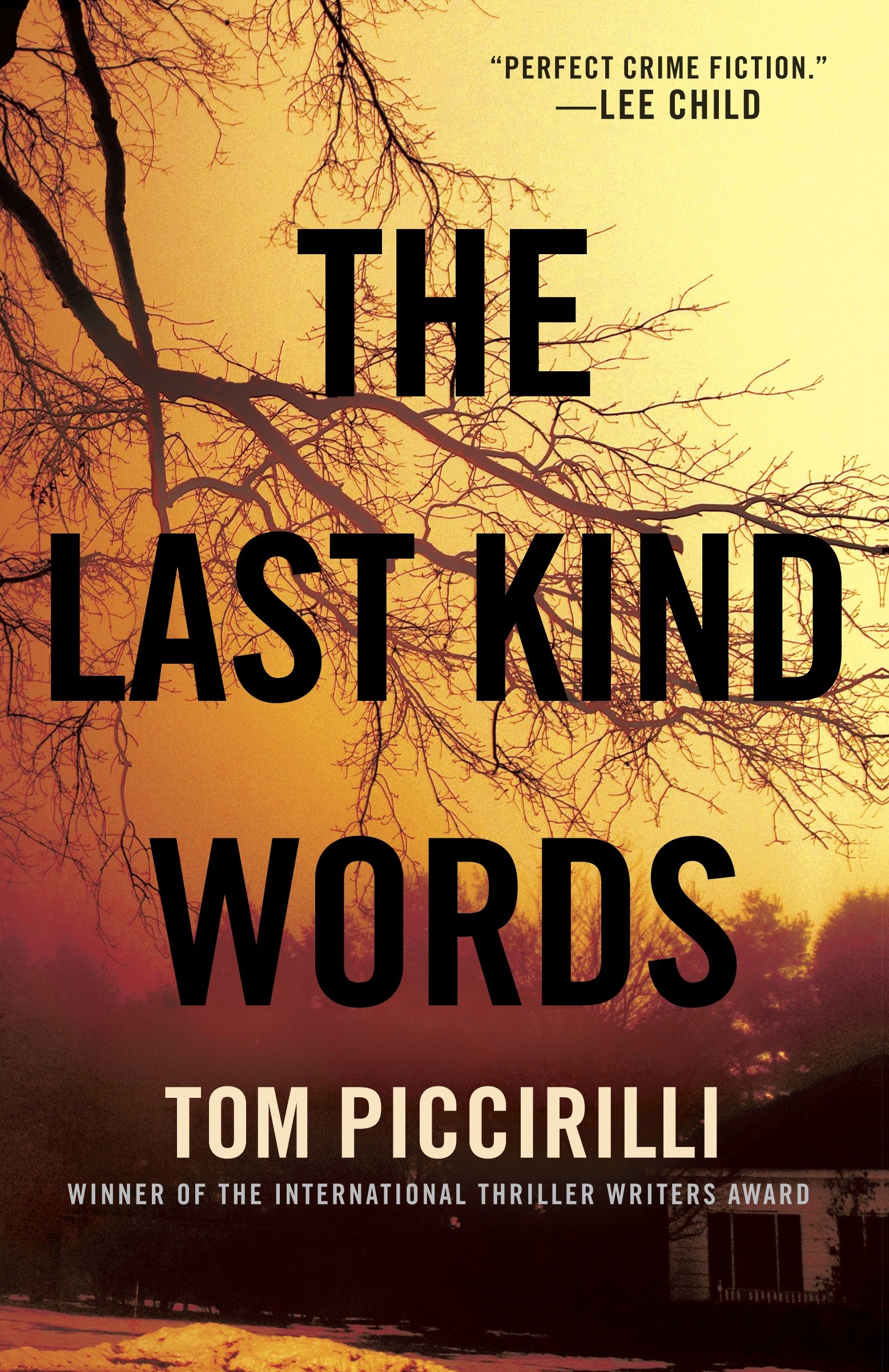 The last kind words cover image