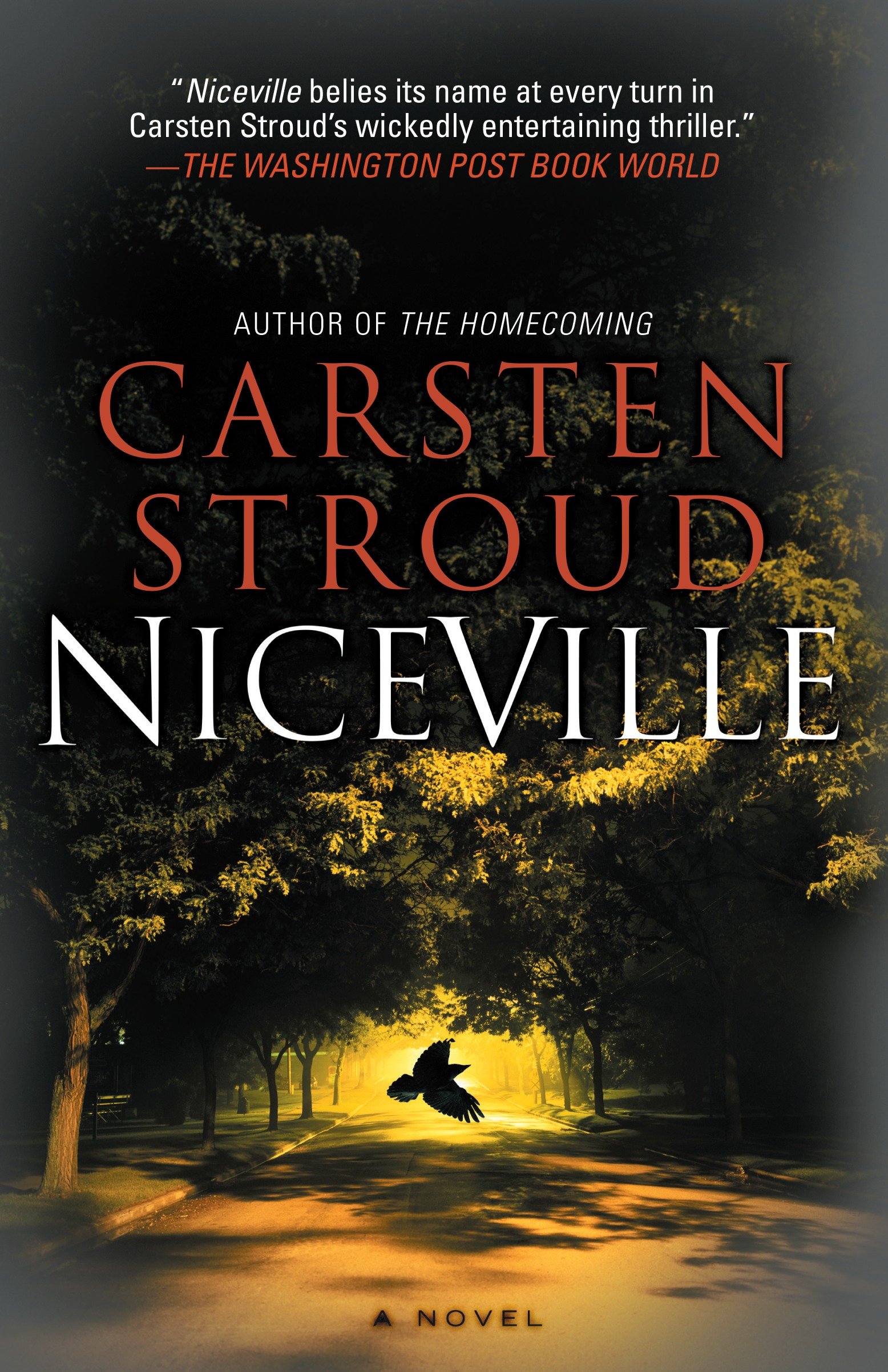 Niceville cover image