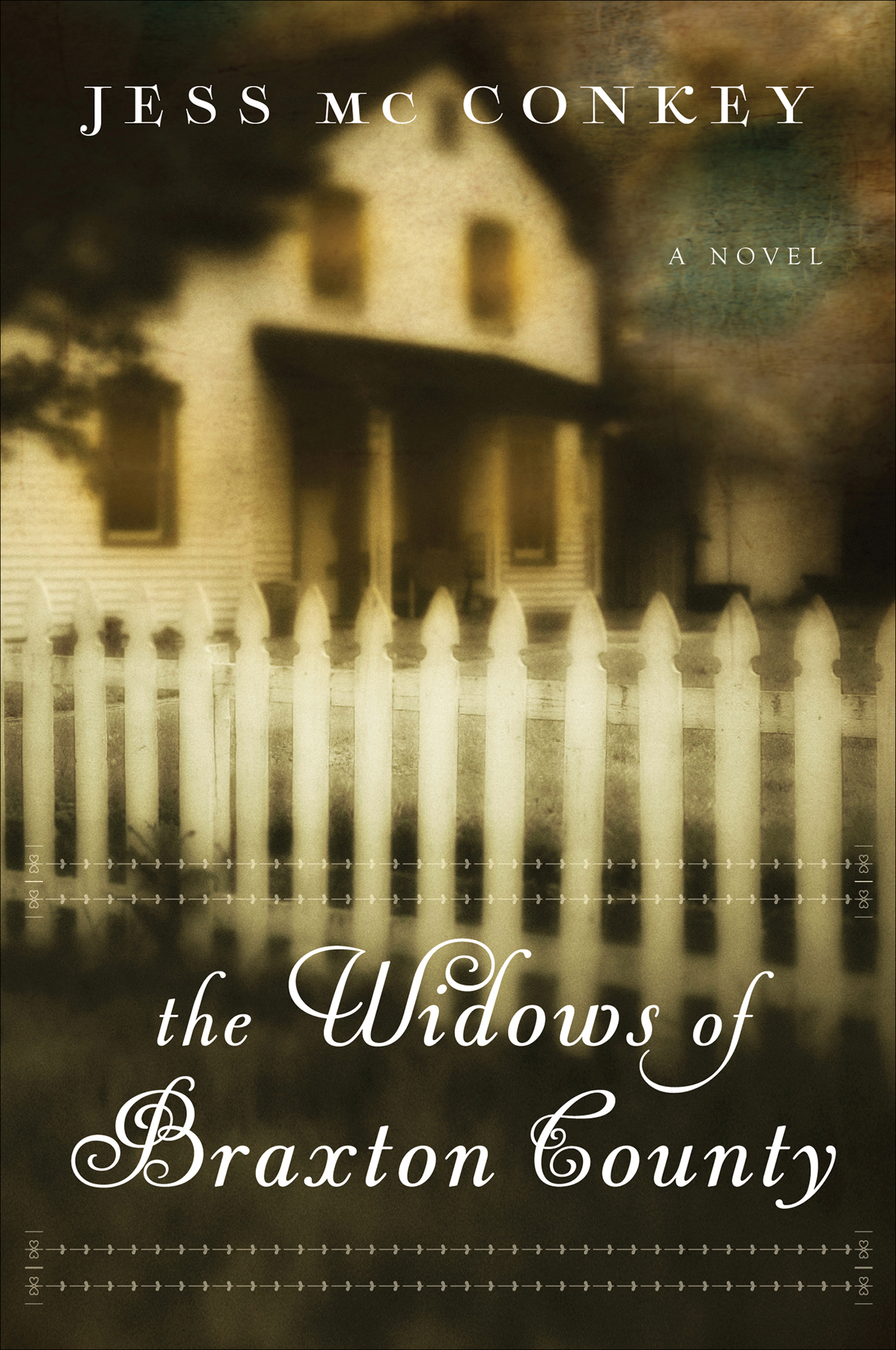 Cover image for The Widows of Braxton County [electronic resource] : A Novel