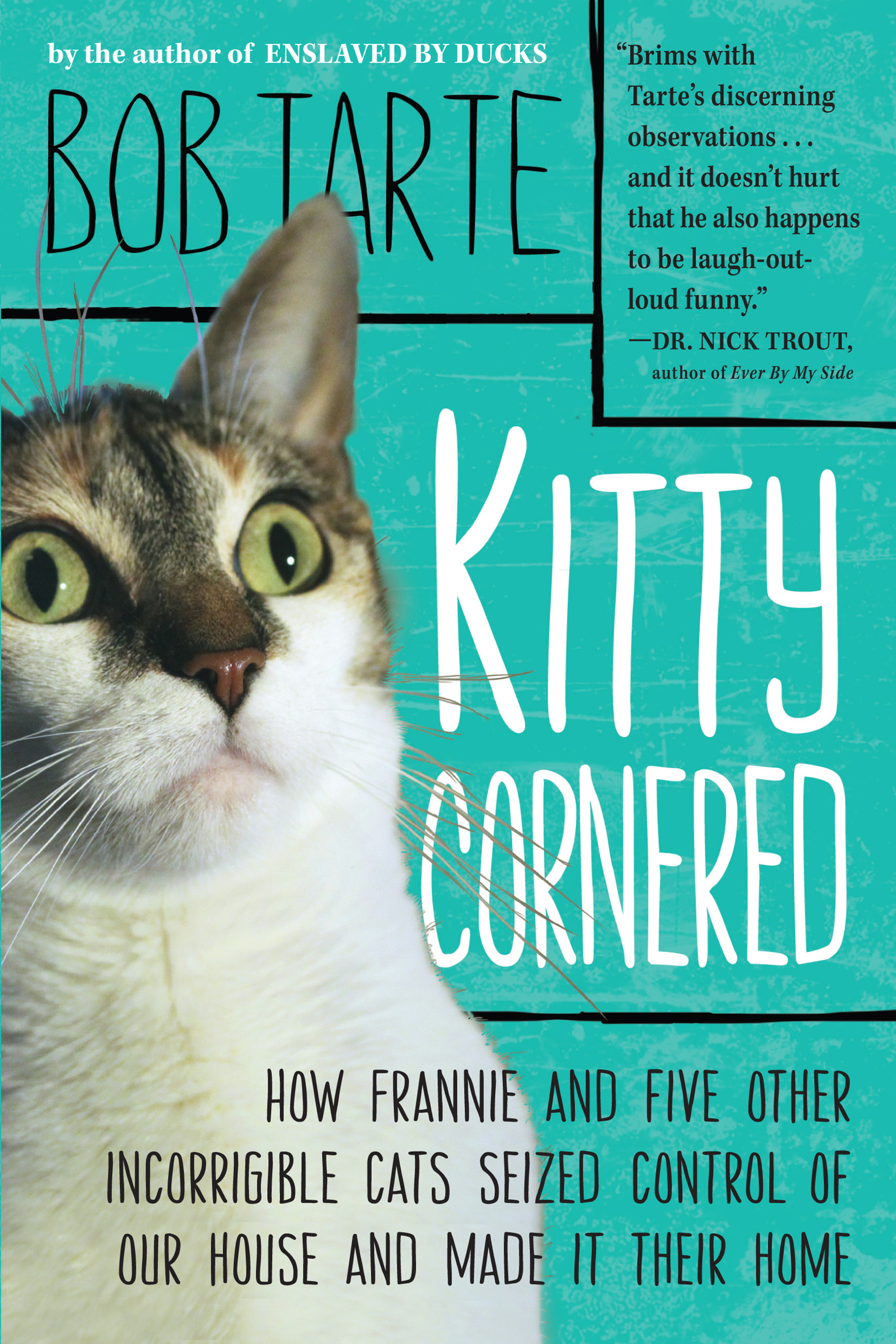 Kitty cornered how Frannie and five other incorrigable cats seized control of our house and made it their home cover image