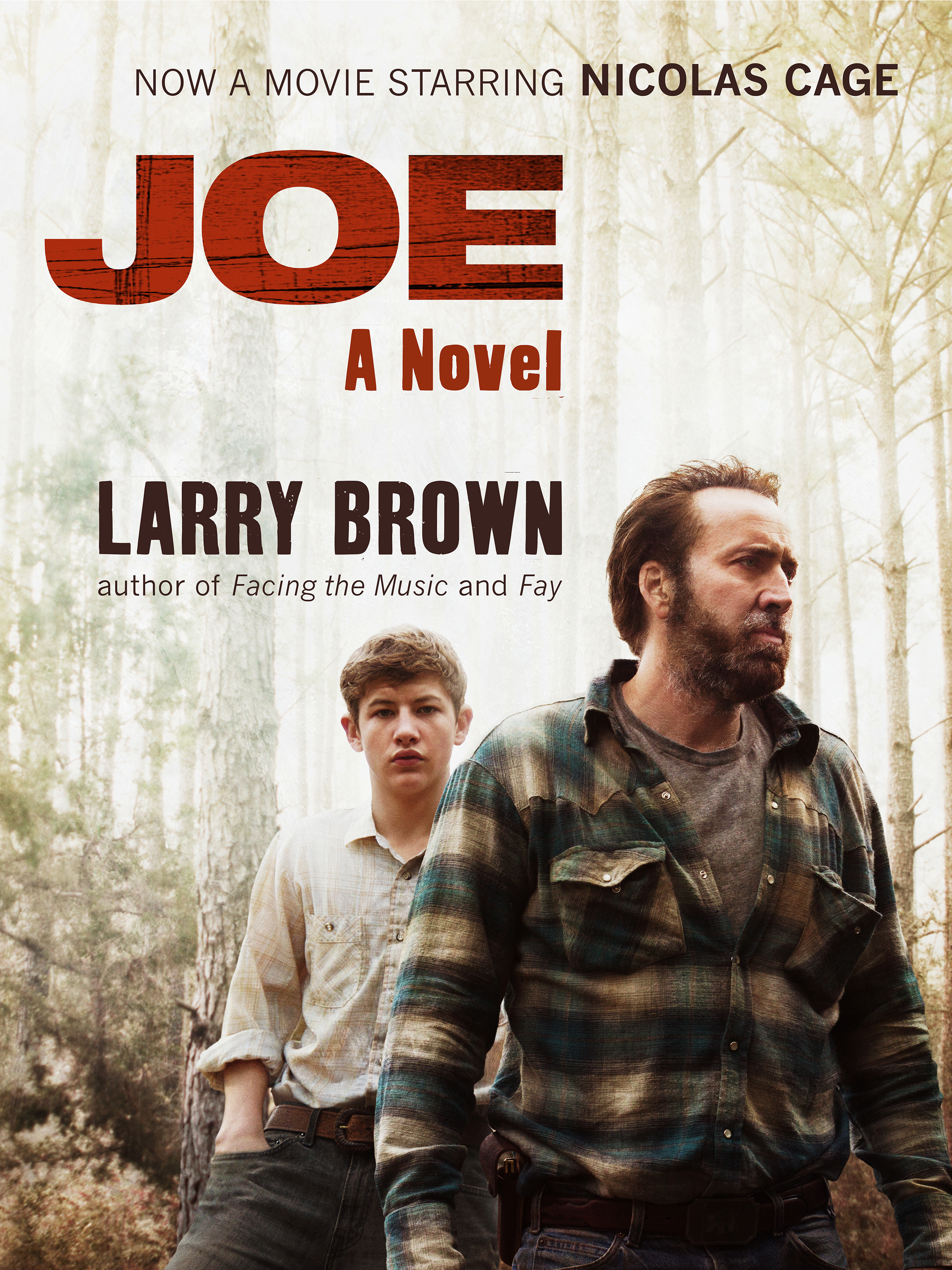 Cover image for Joe [electronic resource] :