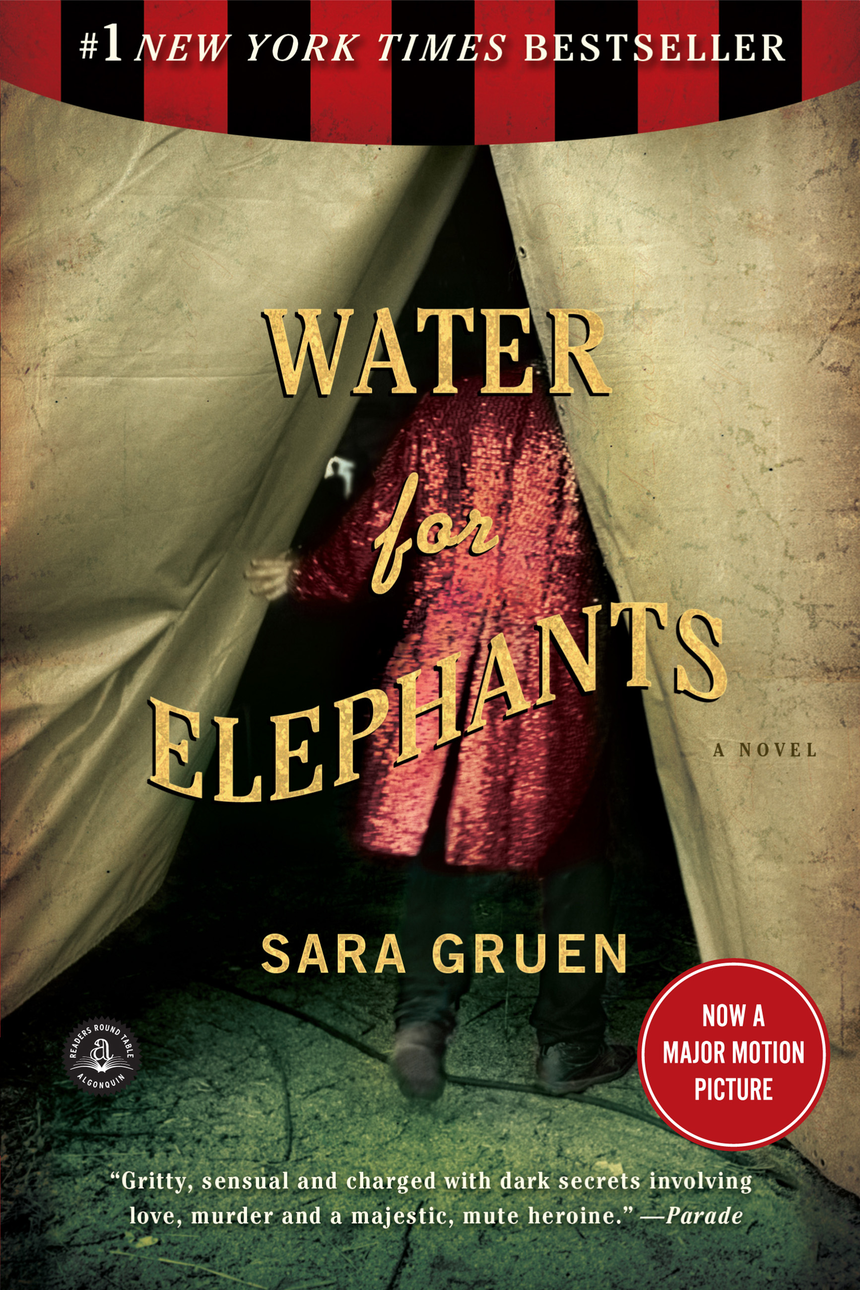 Cover image for Water for Elephants [electronic resource] : A Novel