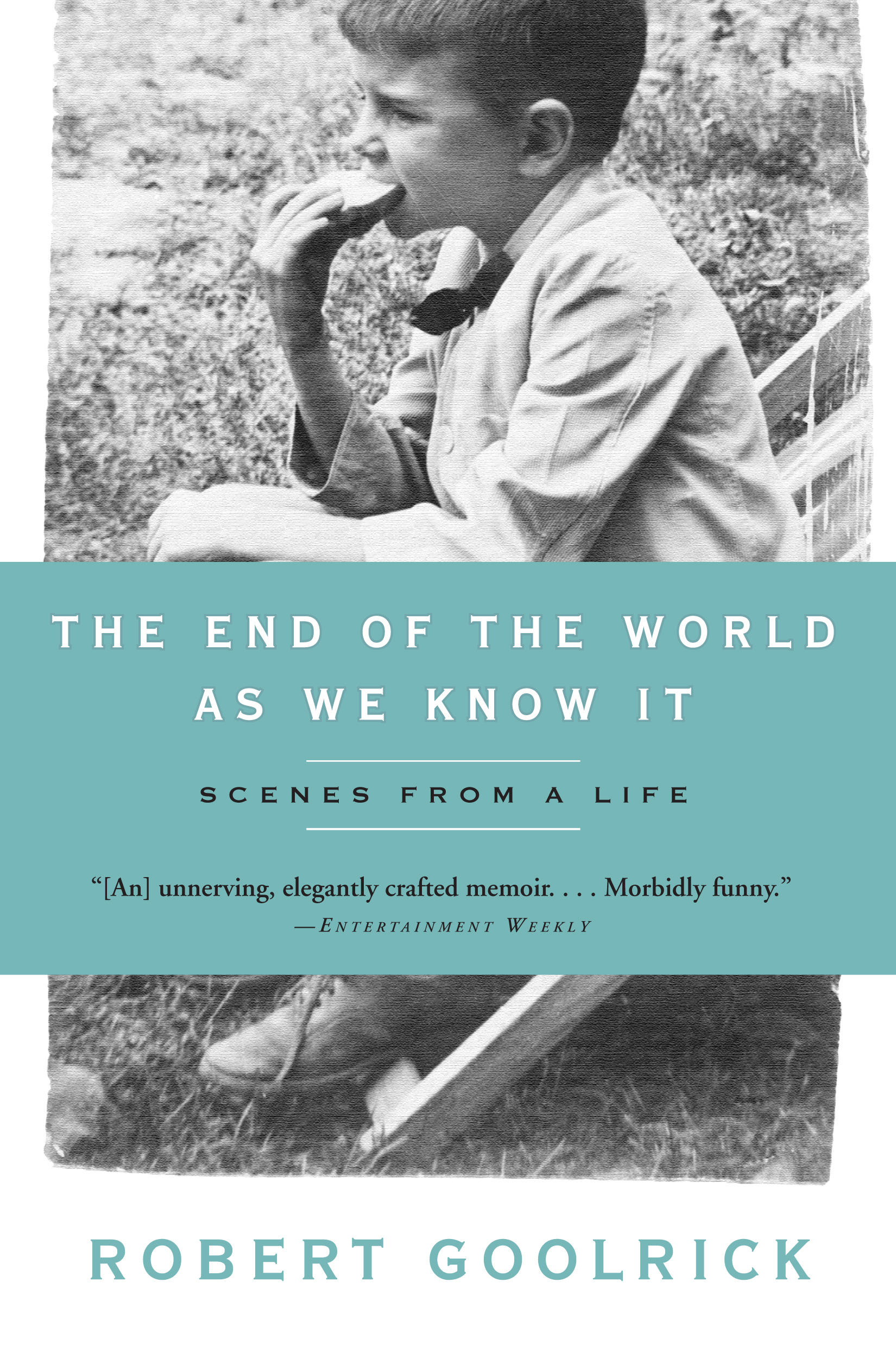 Image de couverture de The End of the World as We Know It [electronic resource] : Scenes from a Life