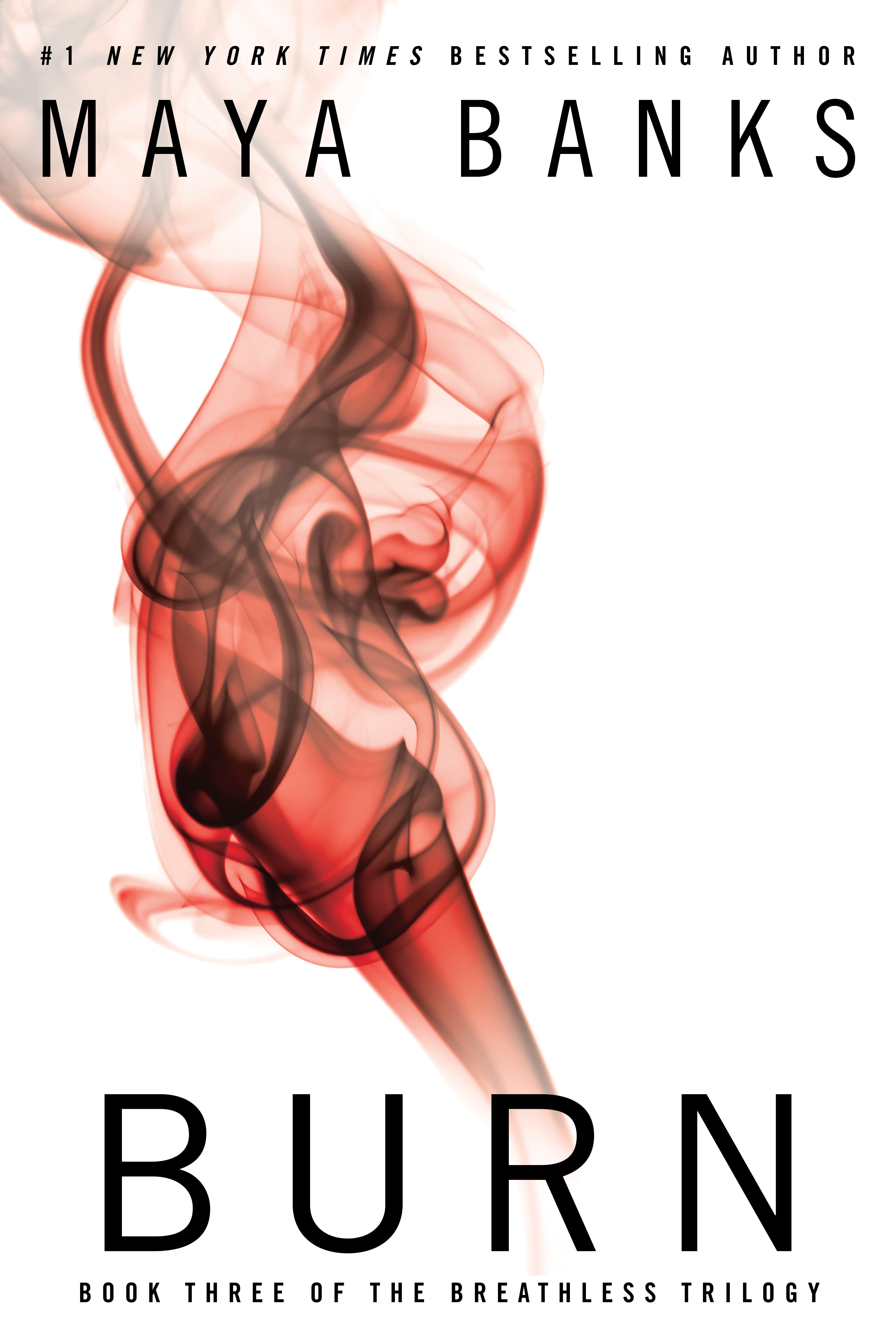 Umschlagbild für Burn [electronic resource] :