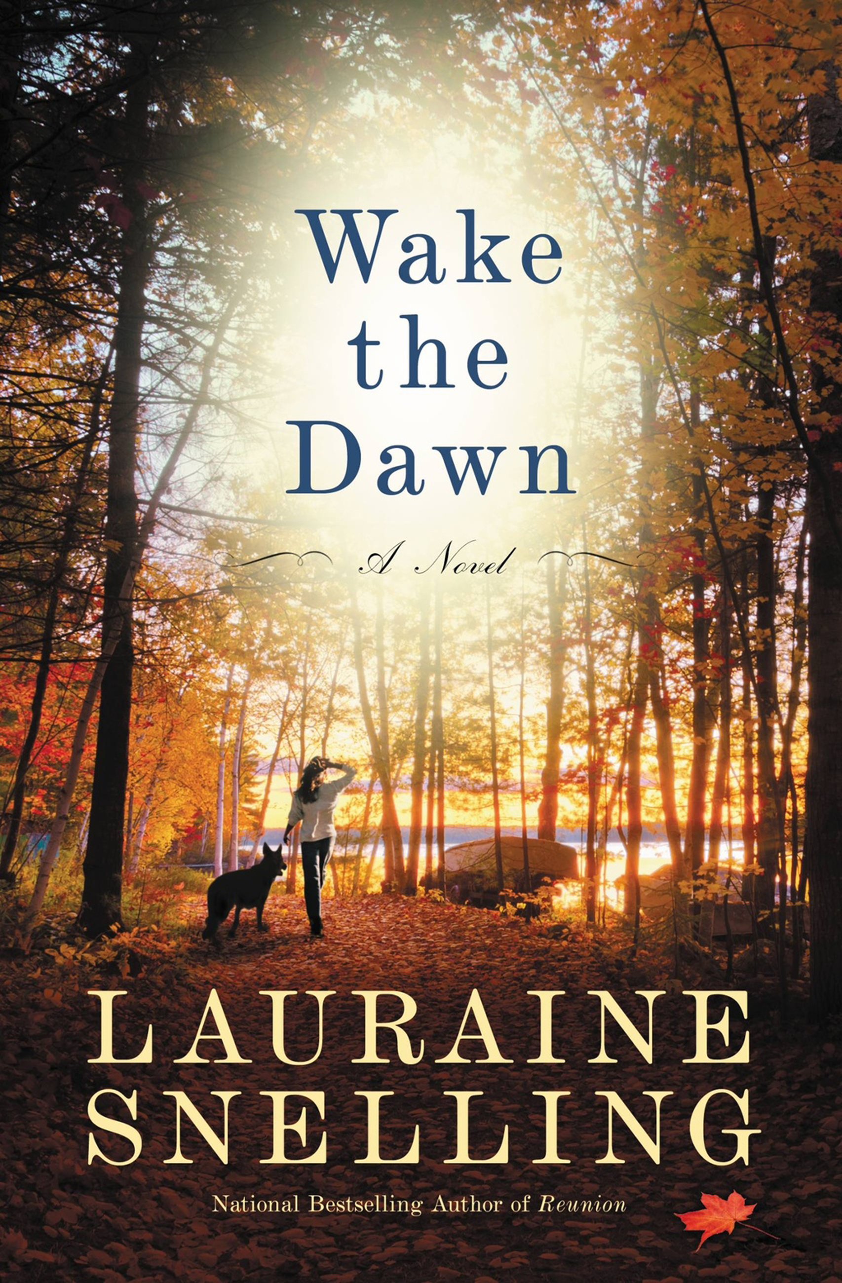 Cover image for Wake the Dawn [electronic resource] : A Novel