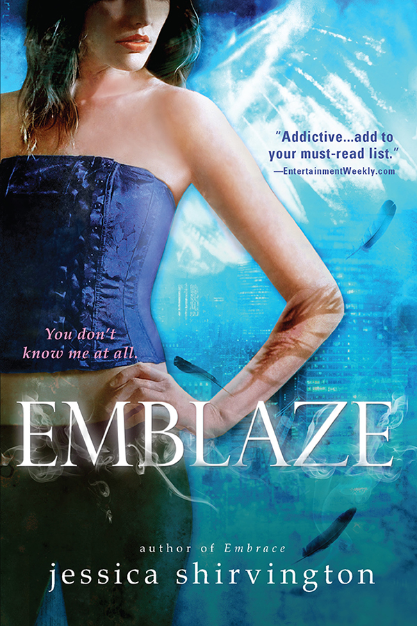 Cover image for Emblaze [electronic resource] :